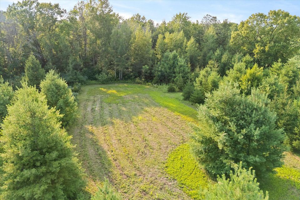 Rhine, Wisconsin, 53020, United States, ,Land,For Sale,1983397