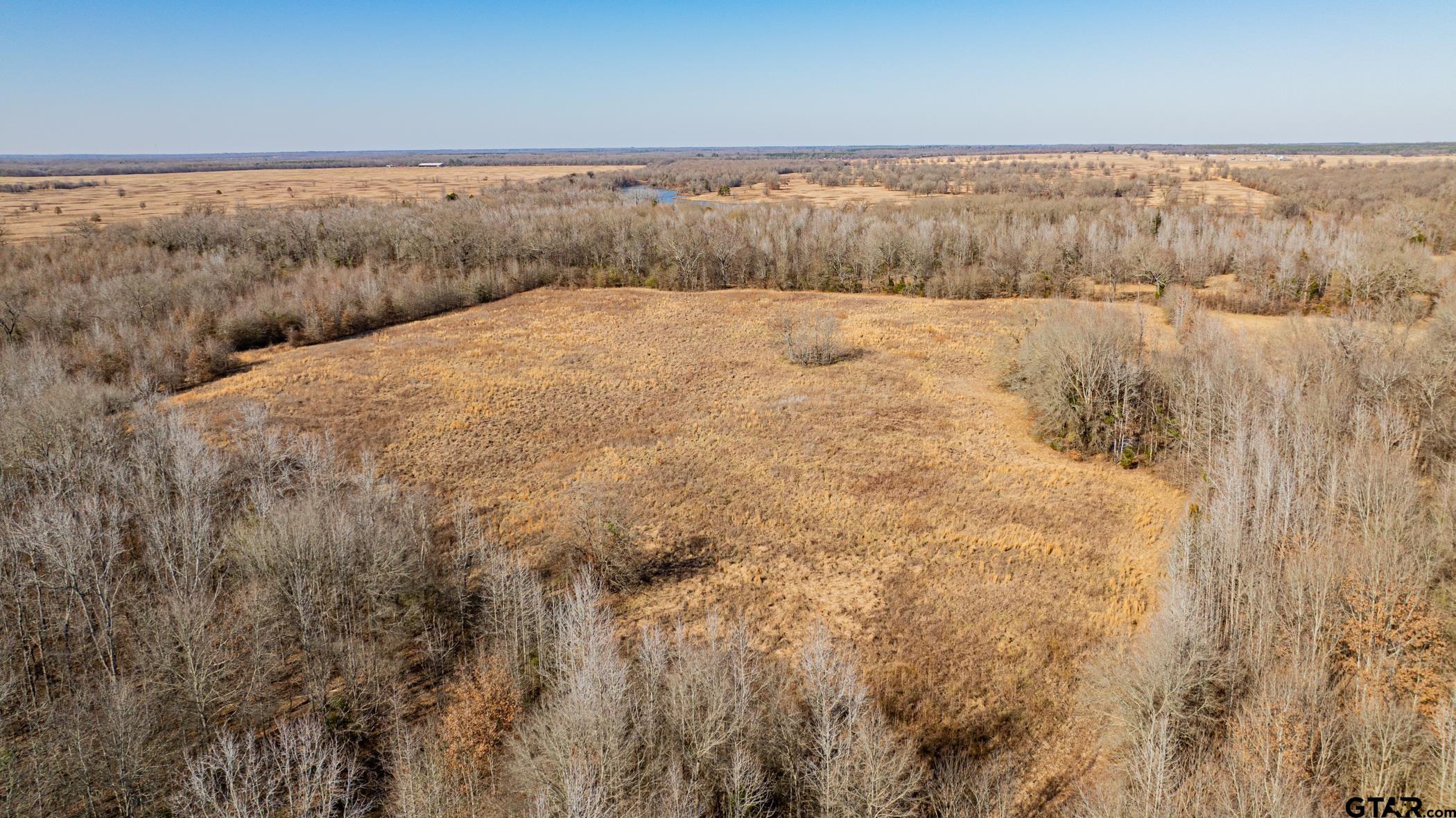 Dekalb, Texas, 75559, United States, ,Land,For Sale,1983481