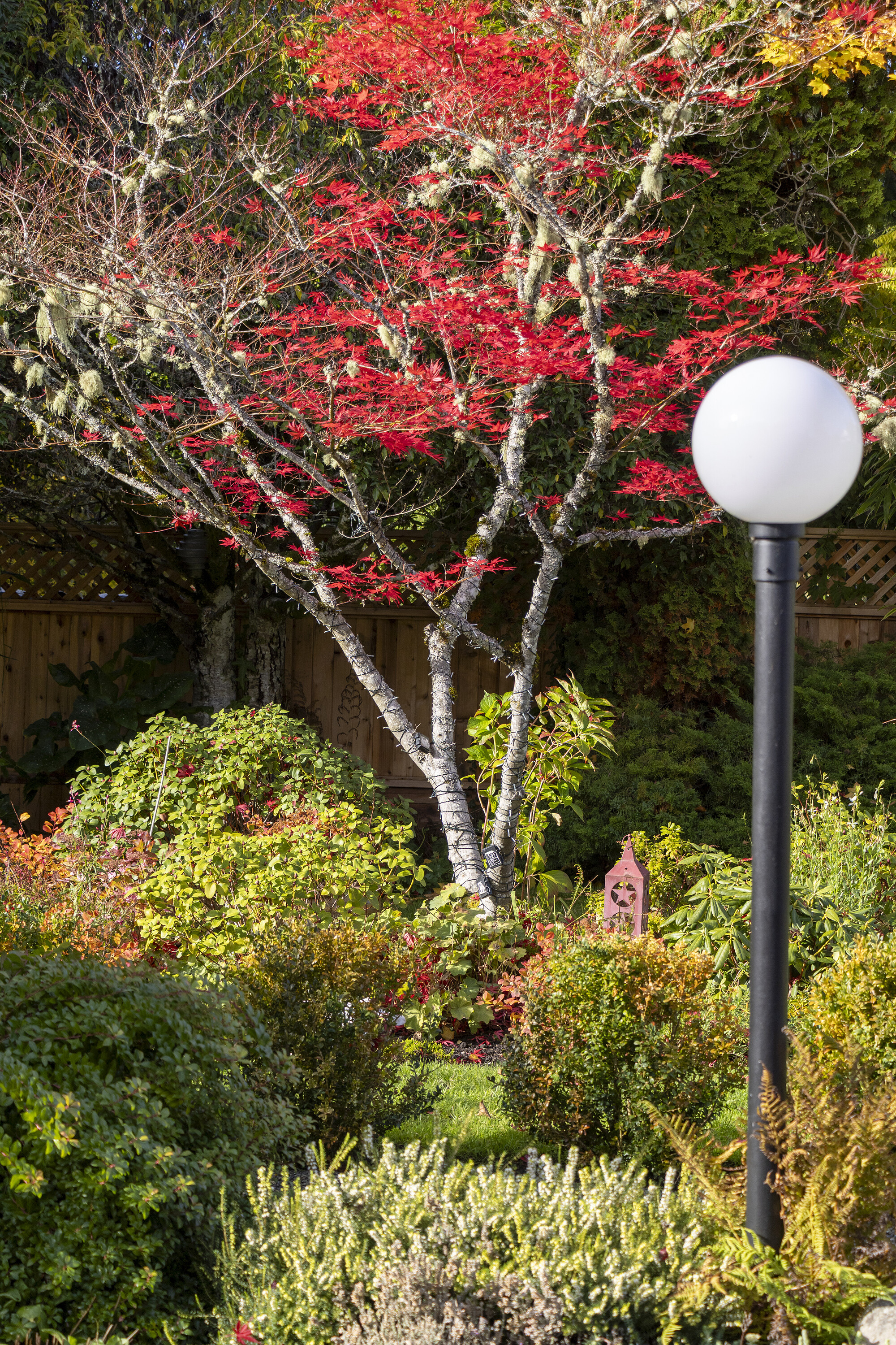  Upscale Waterfront Oasis - 物件實景