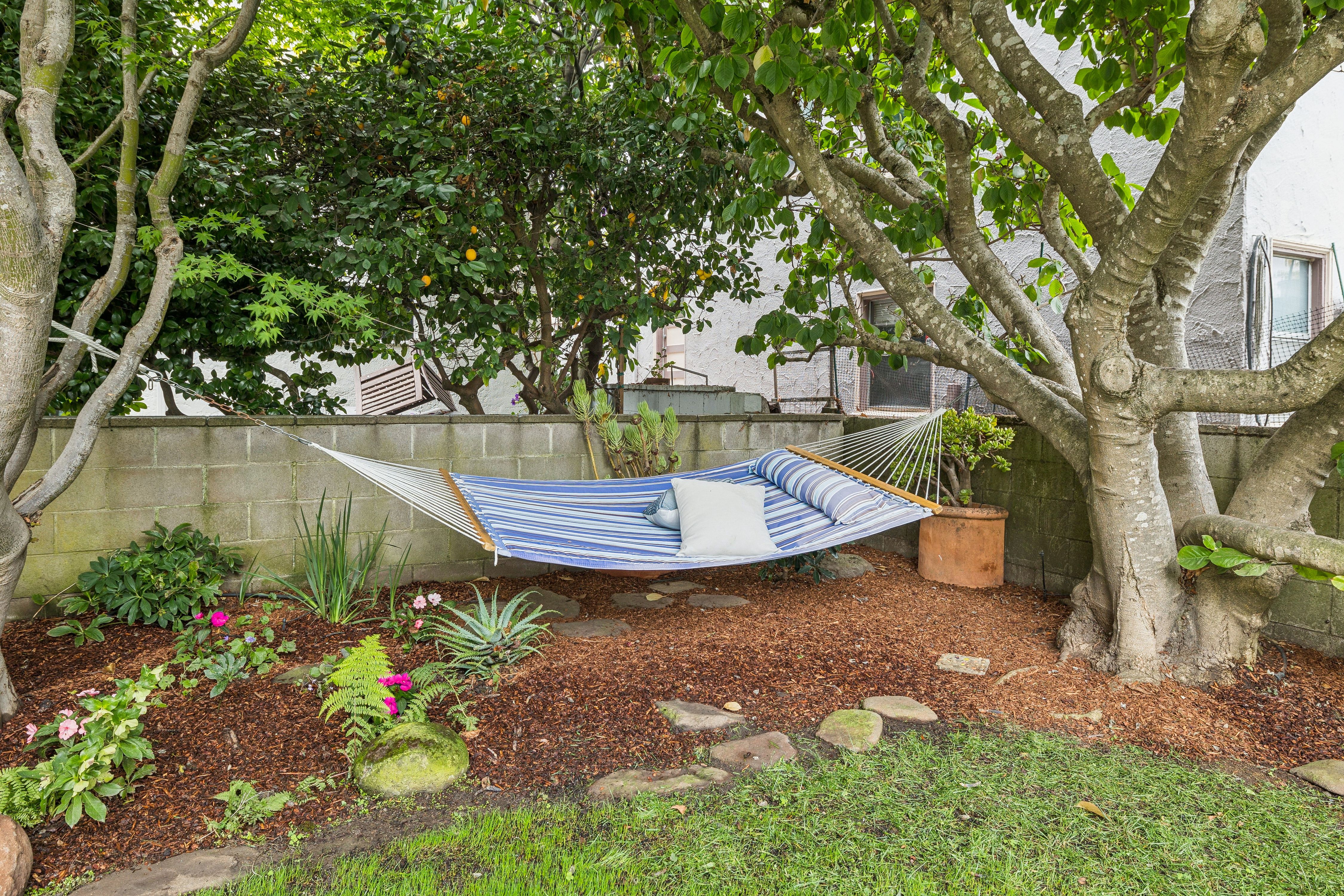  Mediterranean Elegance Meets Walker’s Paradise in North Berkeley - 物件實景