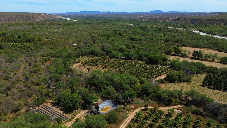 Sin calle, Los Cabos, Baja California Sur, 23500, Mexico, 1 Bedroom Bedrooms, ,Residential,For Sale,Sin calle,1623859