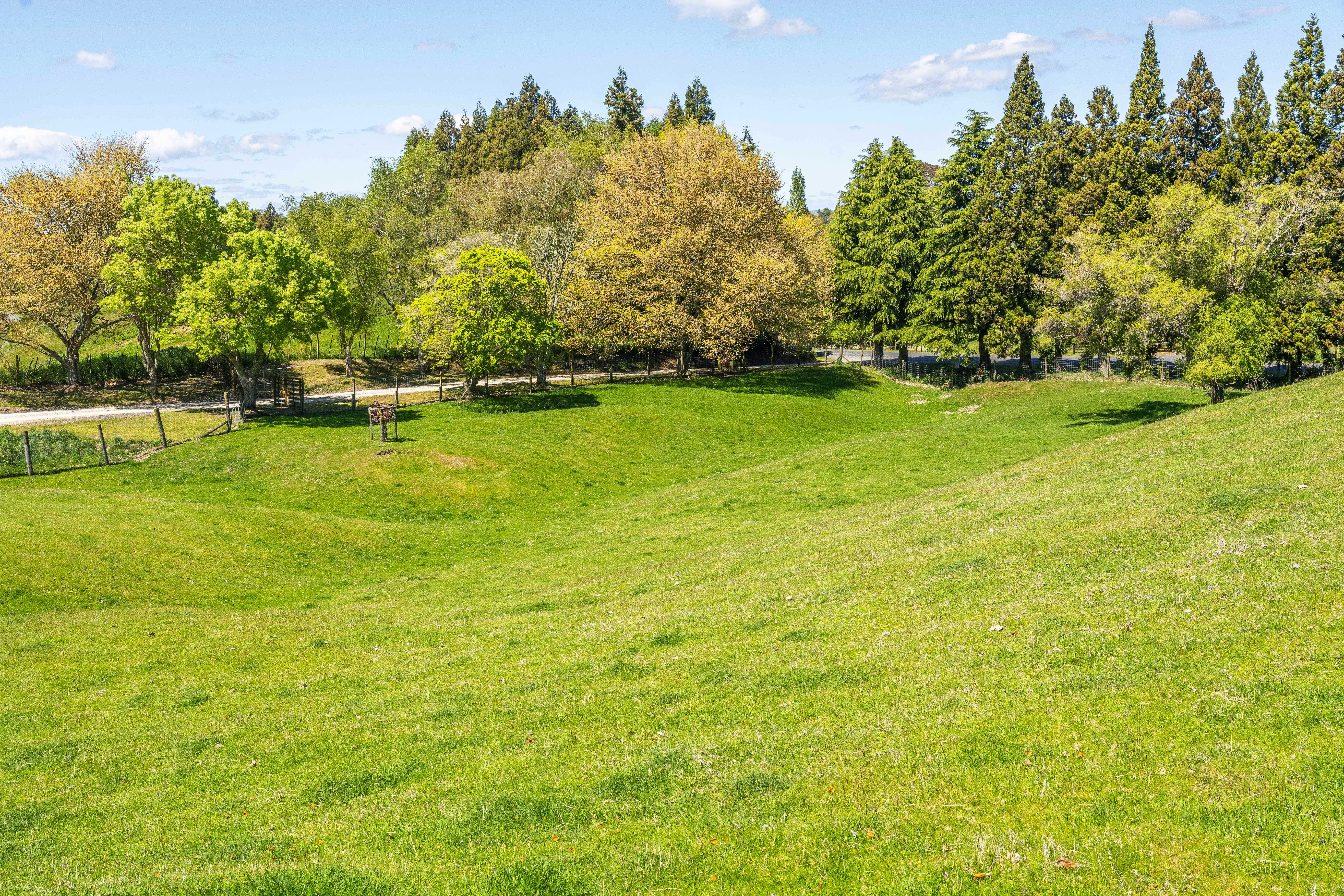  Land, Lifestyle and a Shed to Impress - 物件實景