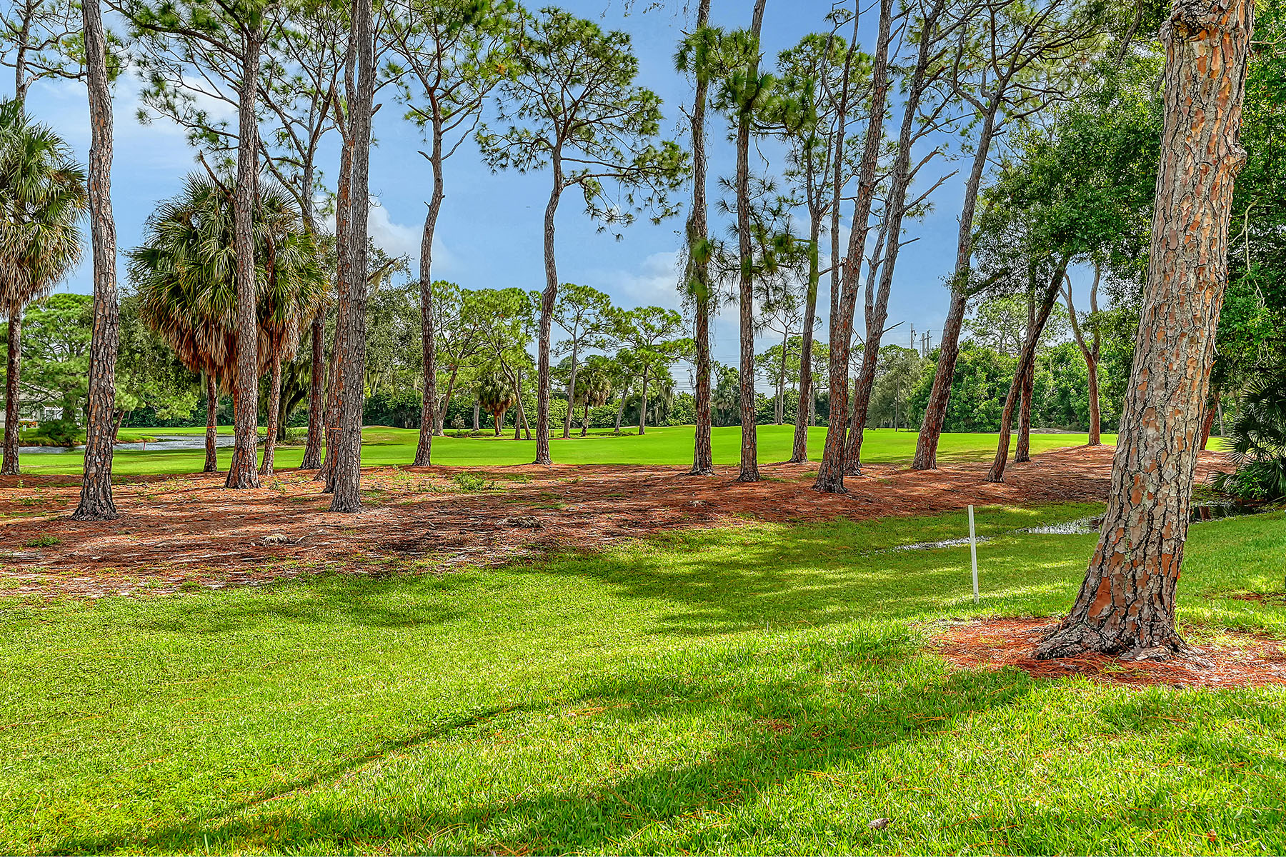  LYNDHURST COURT - THE MEADOWS - 物件實景