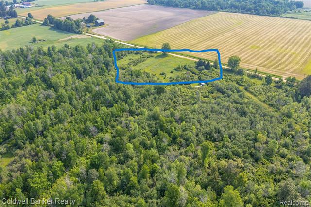 000 Willis Road, Burnside Twp, Michigan, 48416, United States, ,Land,For Sale,000 Willis Road,1288275