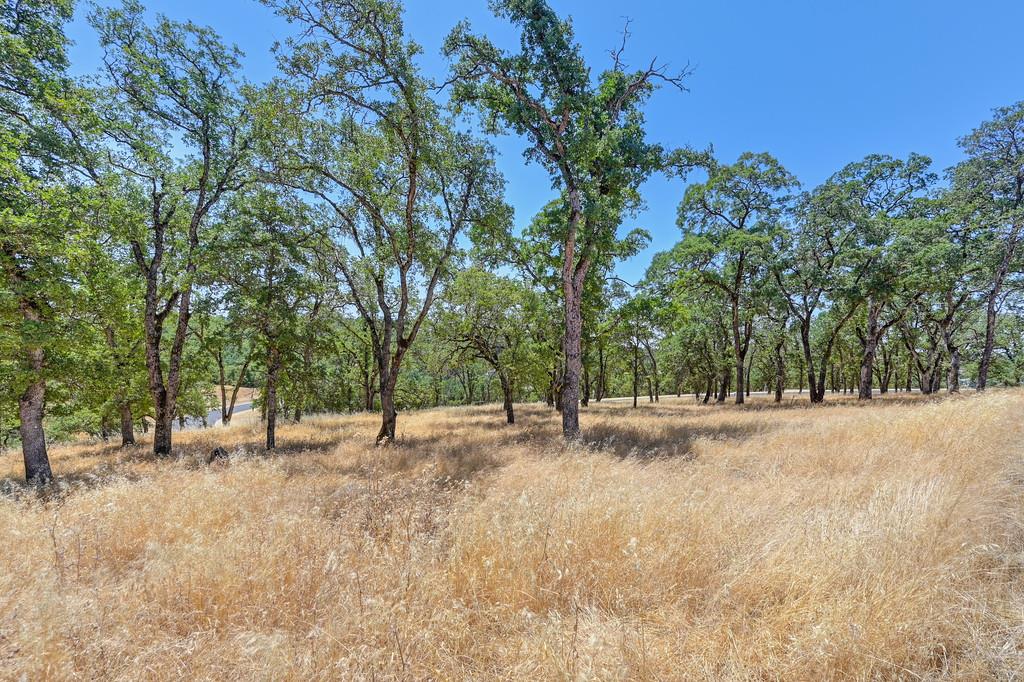 El Dorado Hills, California, 95762, United States, ,Land,For Sale,1874458