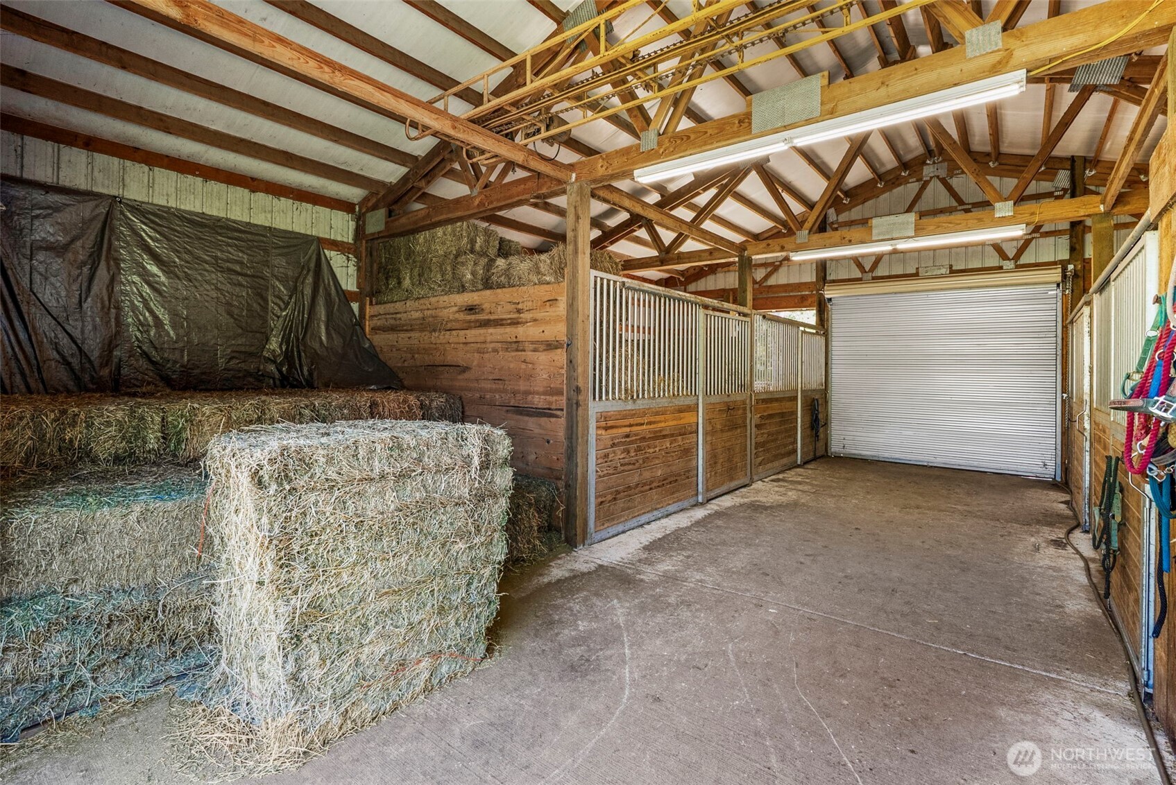 Castle Rock, Washington, 98611, United States, 3 Bedrooms Bedrooms, ,3 BathroomsBathrooms,Residential,For Sale,1836811