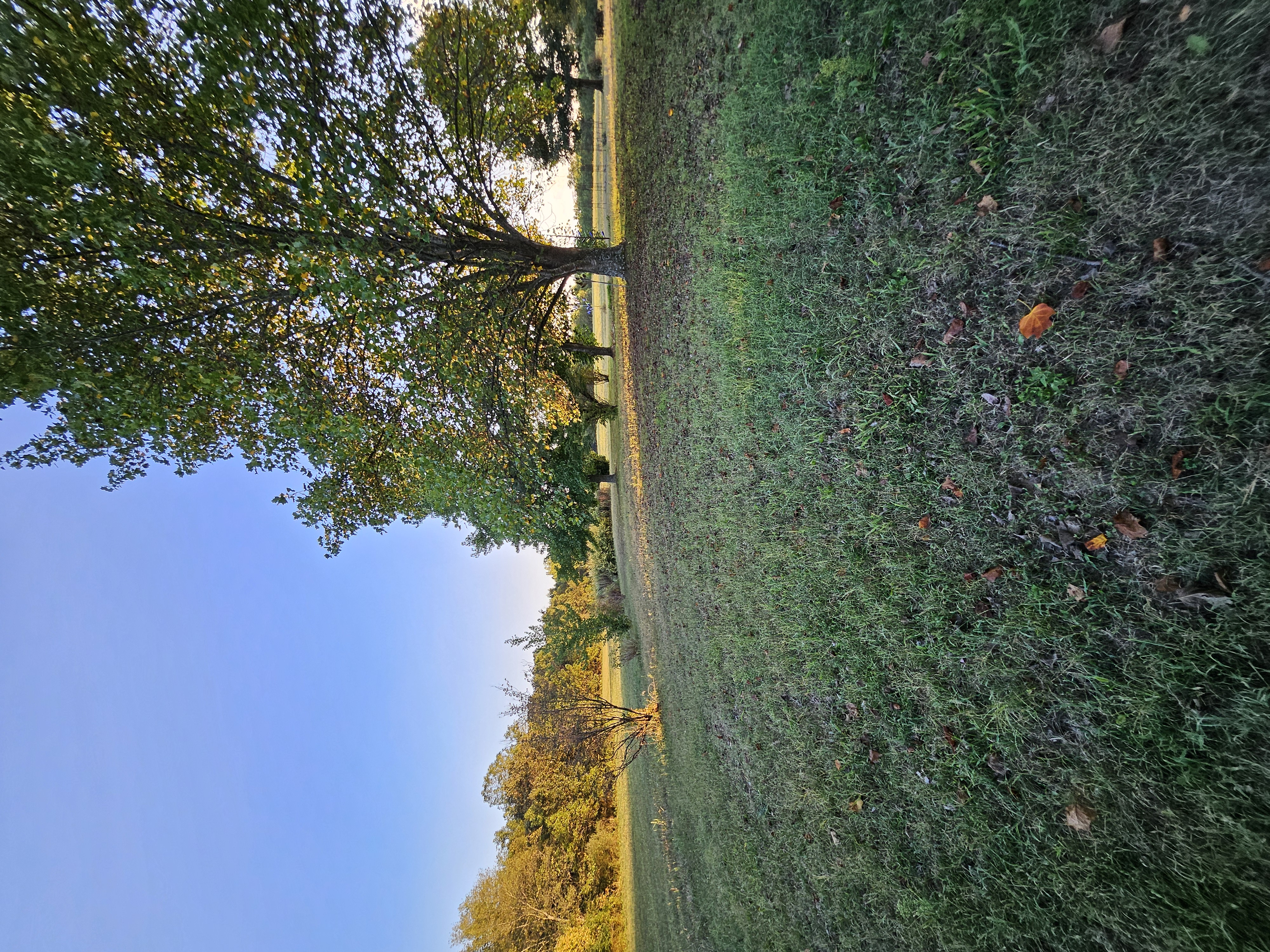 Pierce City, Missouri, 65723, United States, 5 Bedrooms Bedrooms, ,3 BathroomsBathrooms,Residential,For Sale,1984282