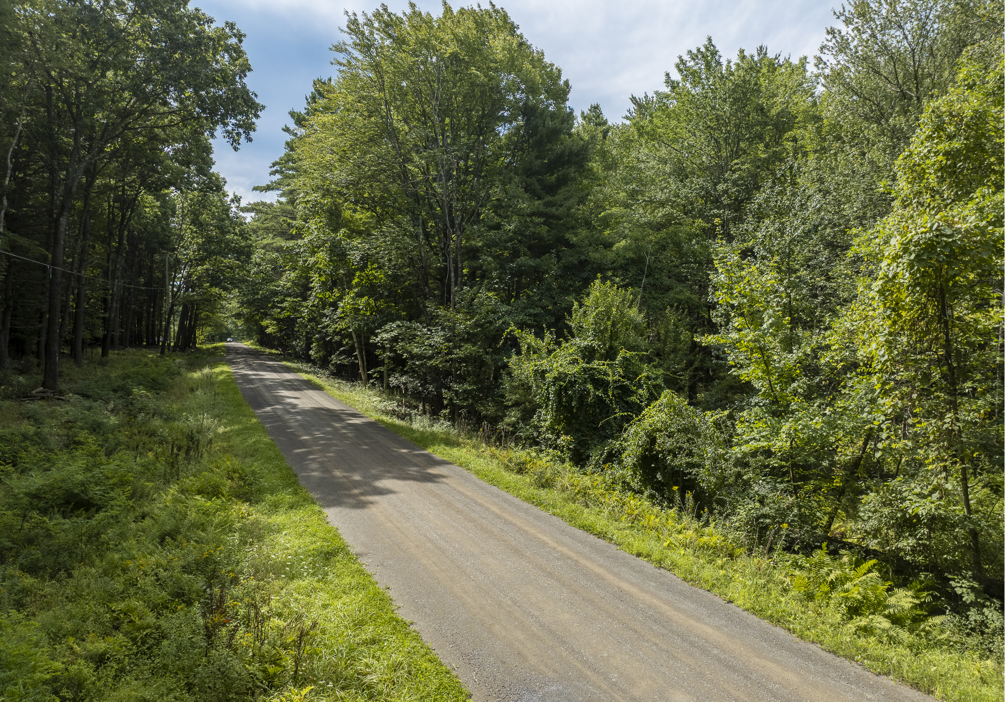  1,180+ Feet of Frontage: Privacy & Seclusion within Easy Reach of the Berkshires - 物件實景