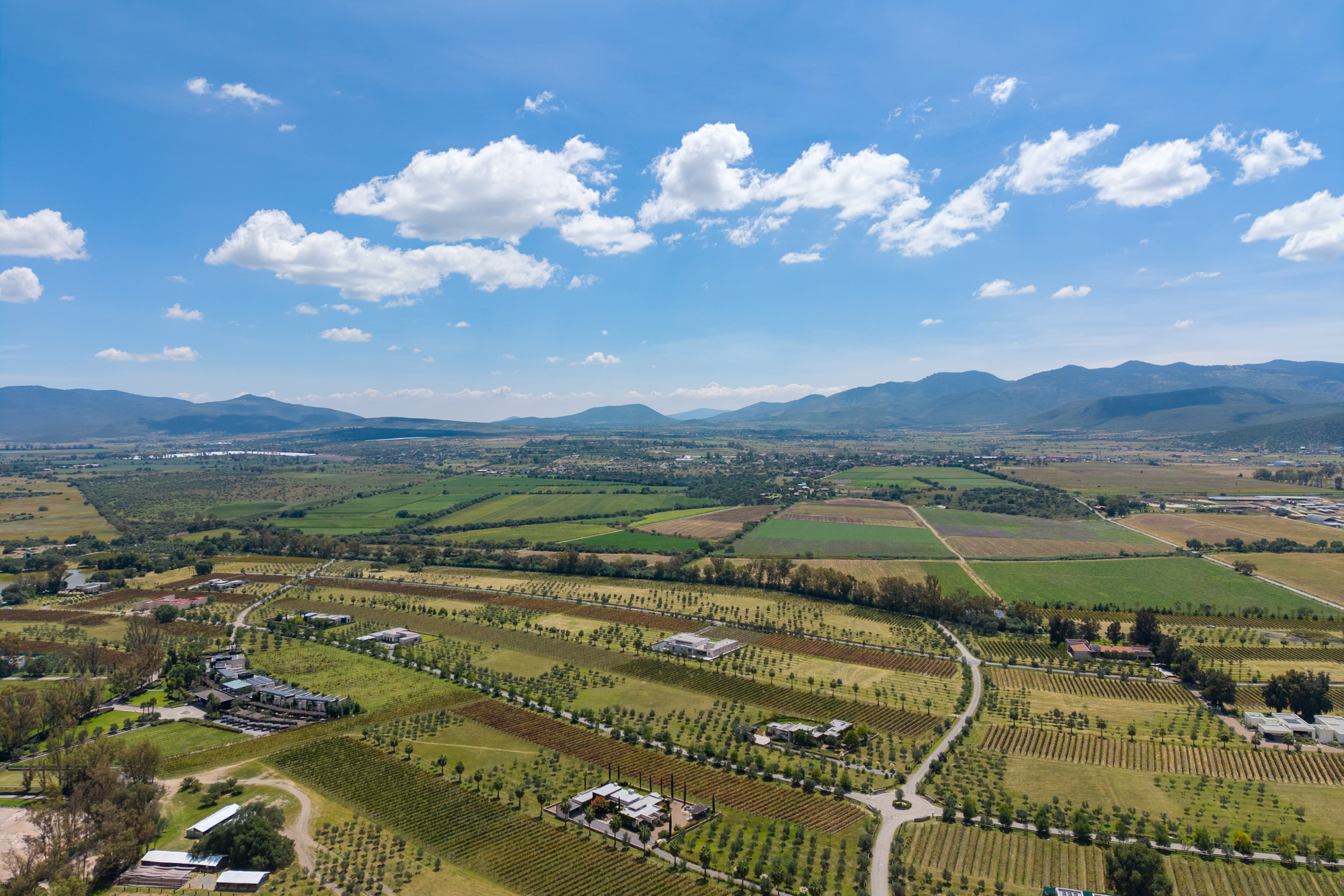  San Francisco Vineyards Lot 1 - 物件實景