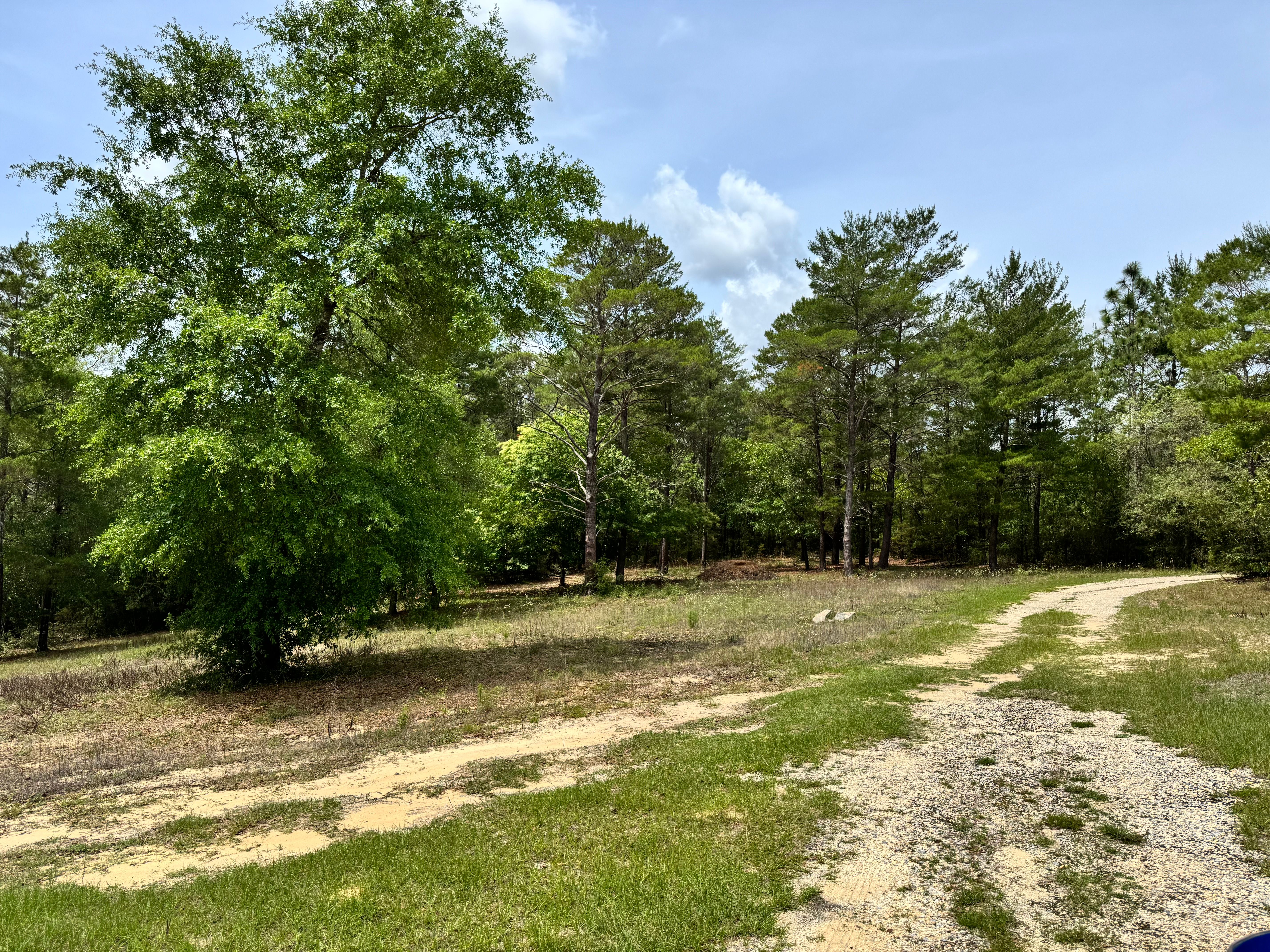  Private 7.55-Acre Property with Existing Infrastructure - 物件實景