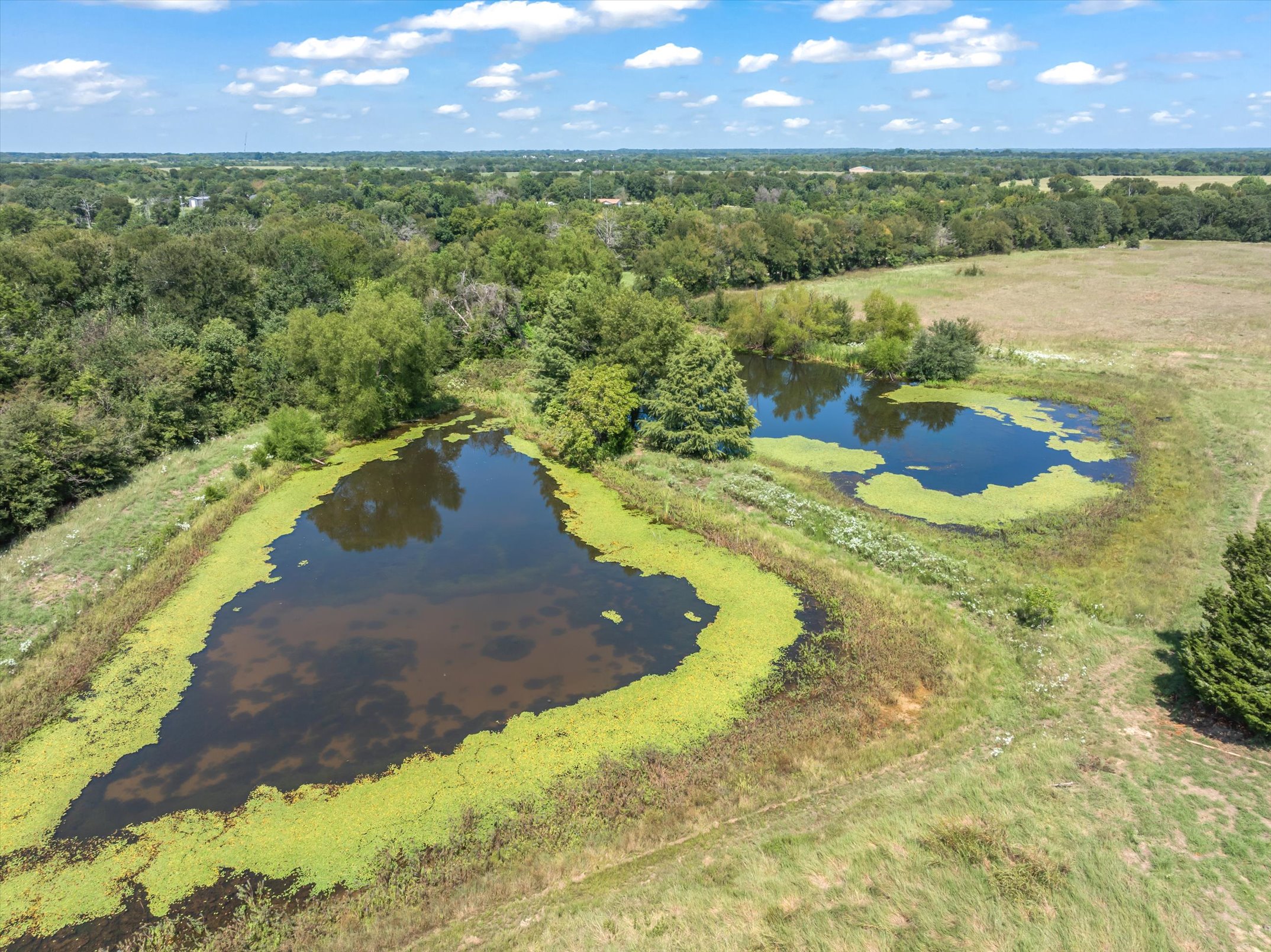 Wills Point, Texas, 75169, United States, 4 Bedrooms Bedrooms, ,3 BathroomsBathrooms,Residential,For Sale,1979230