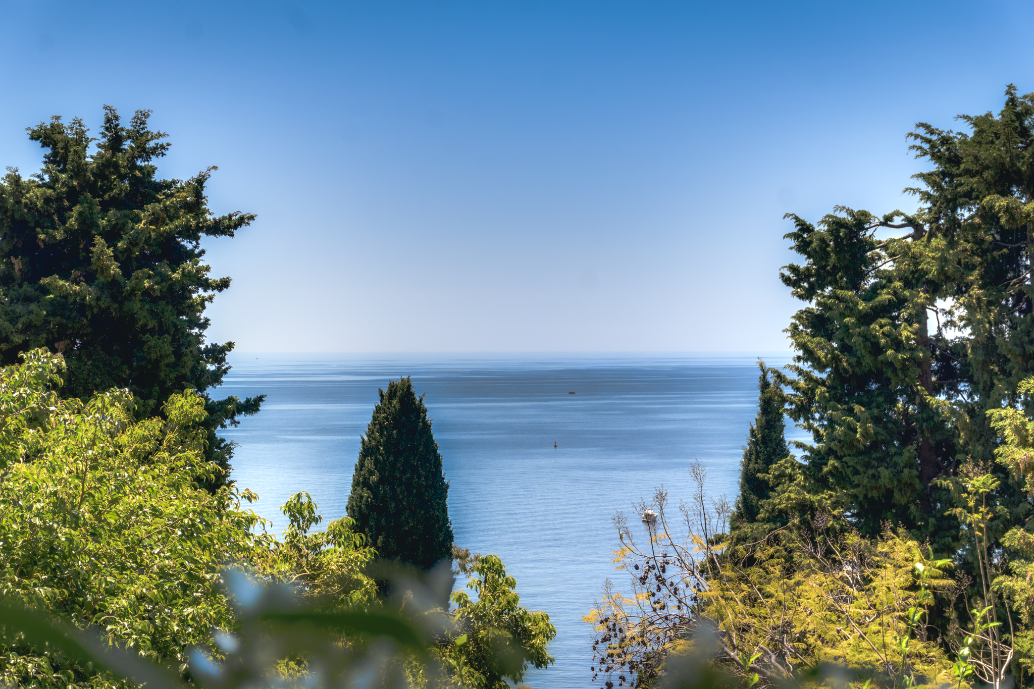  1720 Historic Villa, panoramic Monaco views, lush gardens - Roquebrune-Cap-Mart… - 物件實景