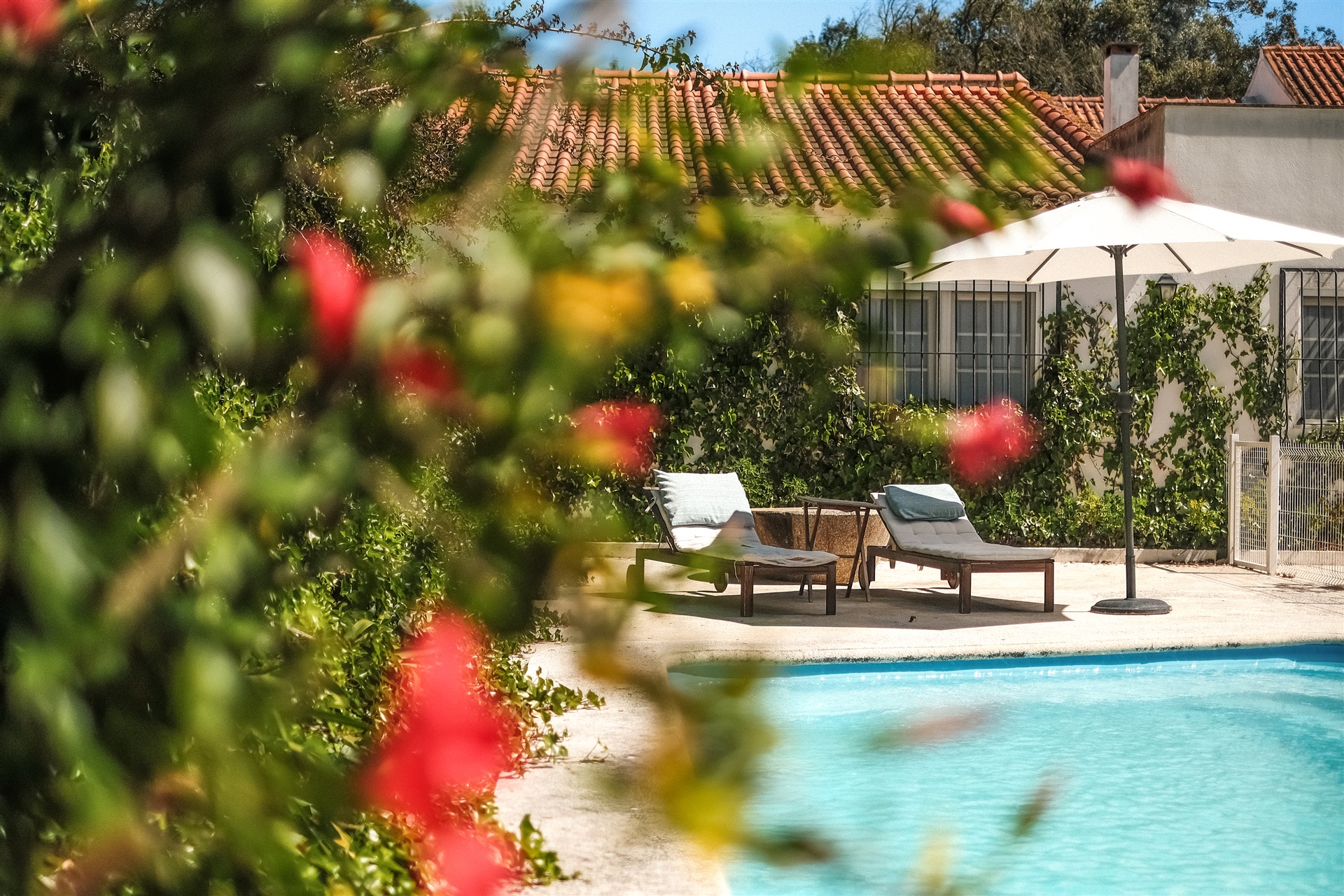  Country Estate, 6 bedrooms, for Sale - 物件實景