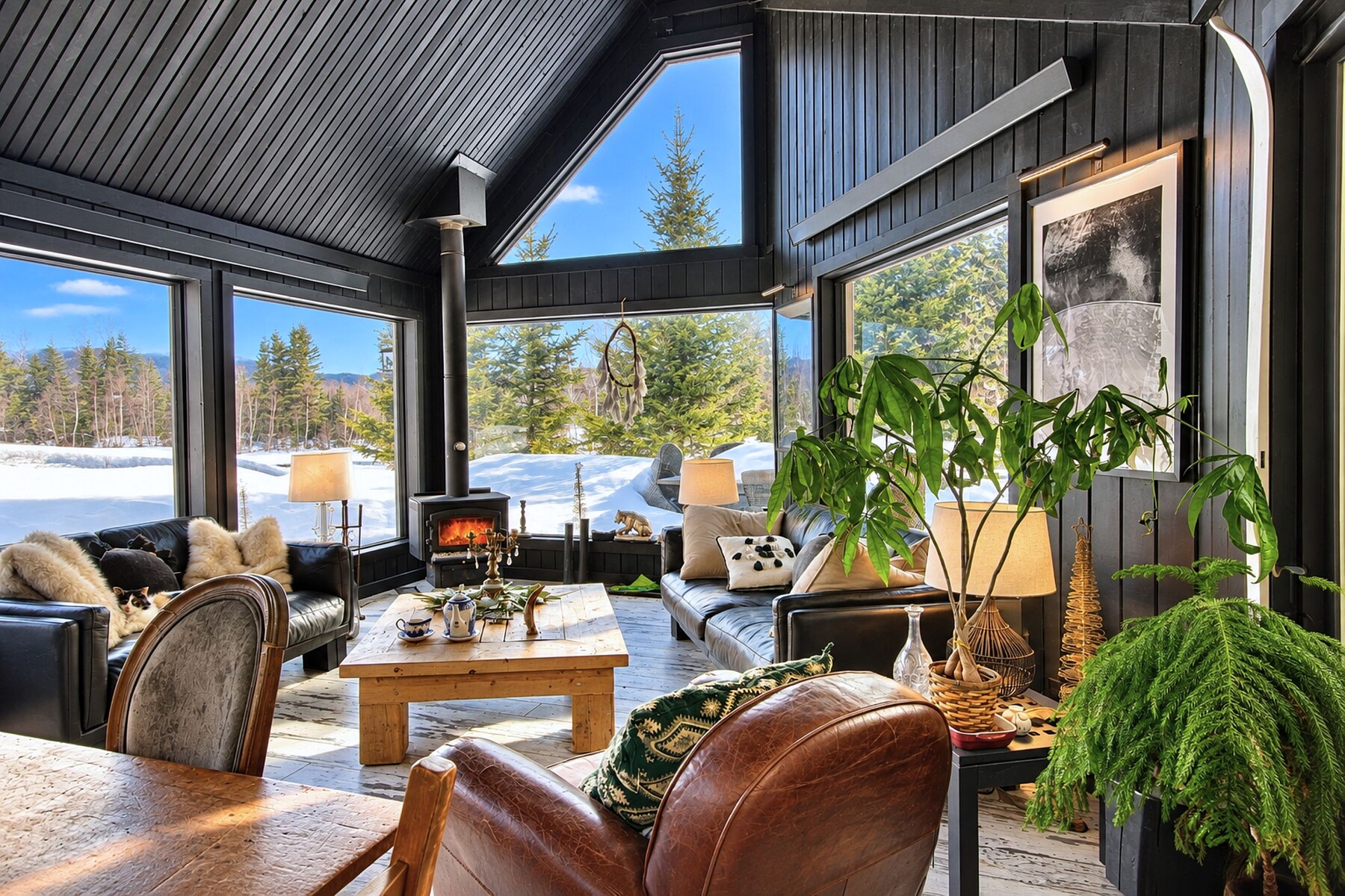  Chalet de villégiature - 物件實景