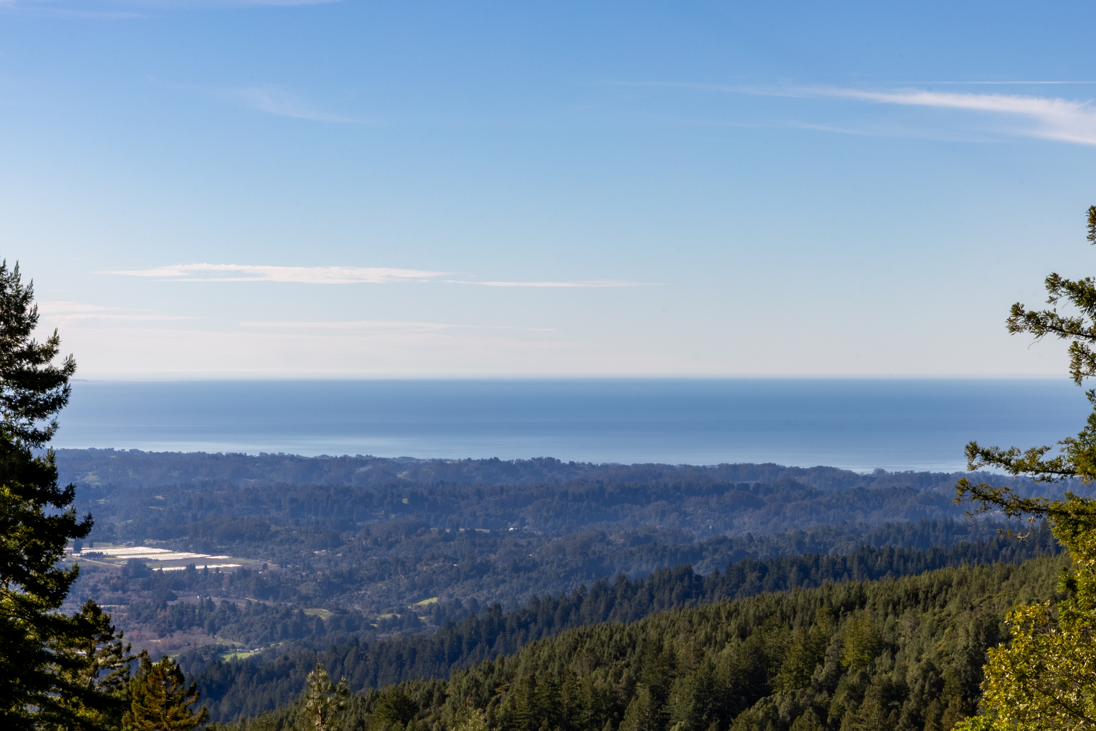  Santa Cruz Mountains Ocean View Resort - 物件實景