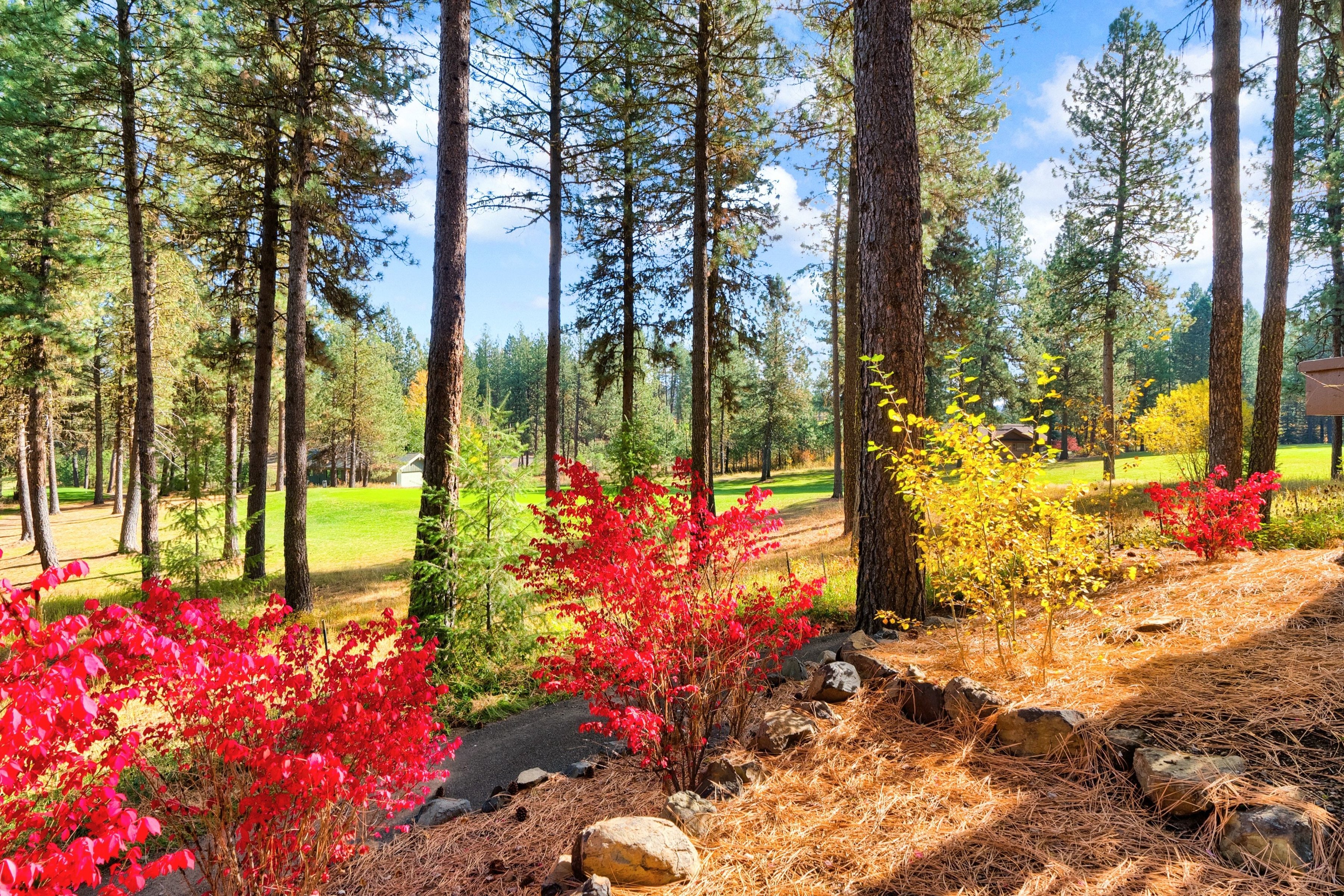  Idyllic Idaho Mountain Retreat - 物件實景