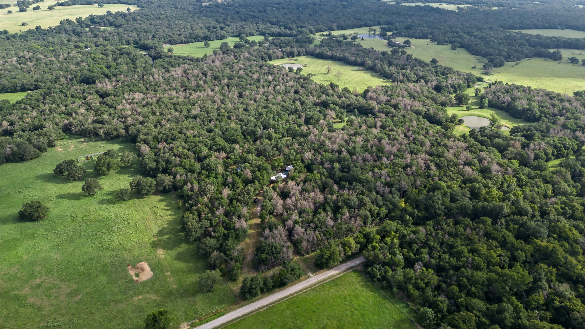 Bremond, Texas, 76629, United States, ,Land,For Sale,1986531