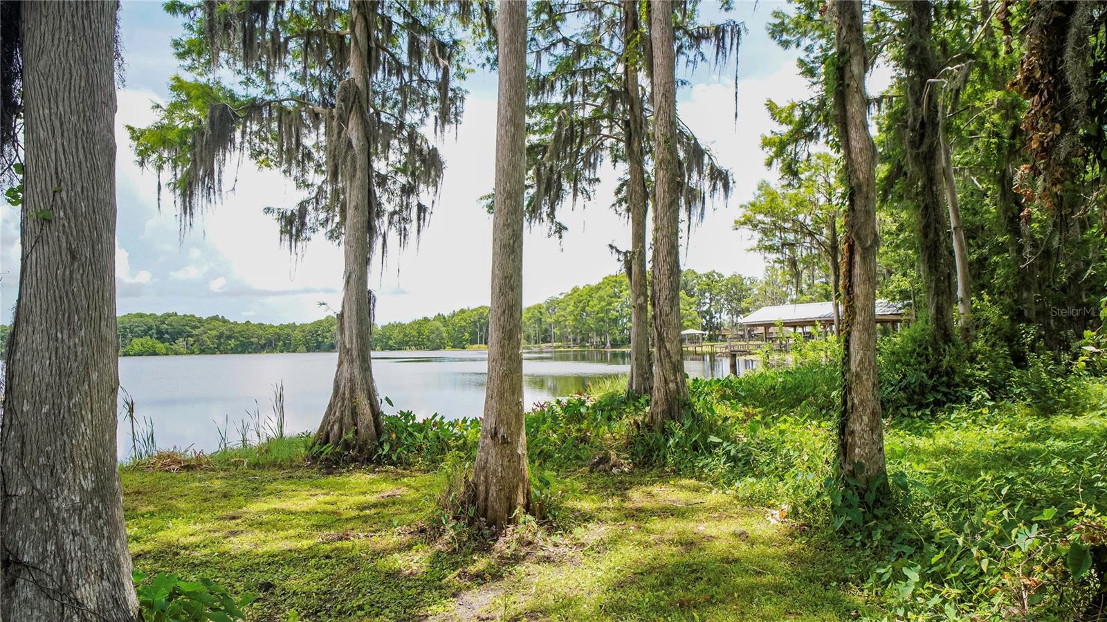 LAND O LAKES, Florida, 34638, United States, 3 Bedrooms Bedrooms, ,1 BathroomBathrooms,Residential,For Sale,1829291