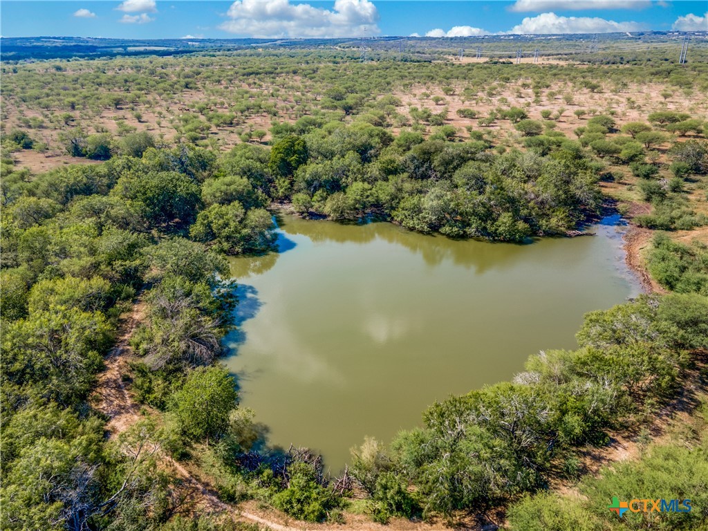 000 County Rd 145, Kenedy, Texas, 78119, United States, ,Land,For Sale,000 County Rd 145,1627629