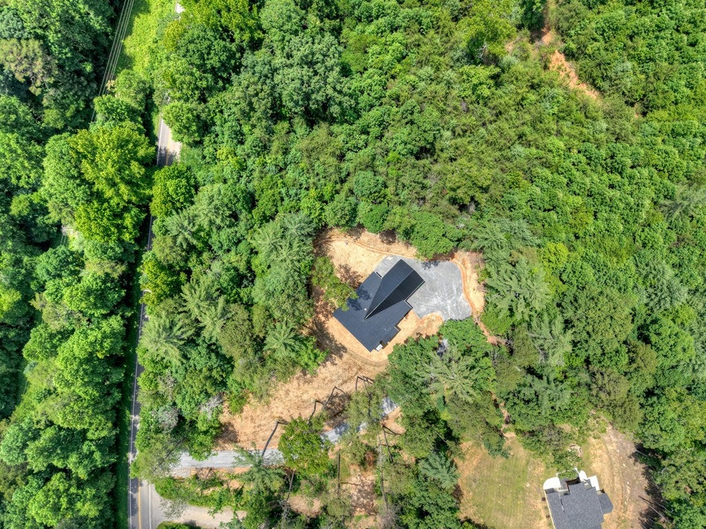 Mineral Bluff, Georgia, 30559, United States, 3 Bedrooms Bedrooms, ,3 BathroomsBathrooms,Residential,For Sale,2007594