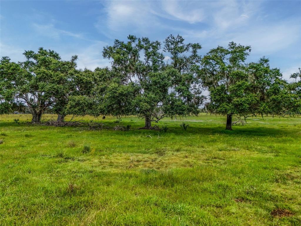 Myakka City, Florida, 34251, United States, ,Land,For Sale,1908306