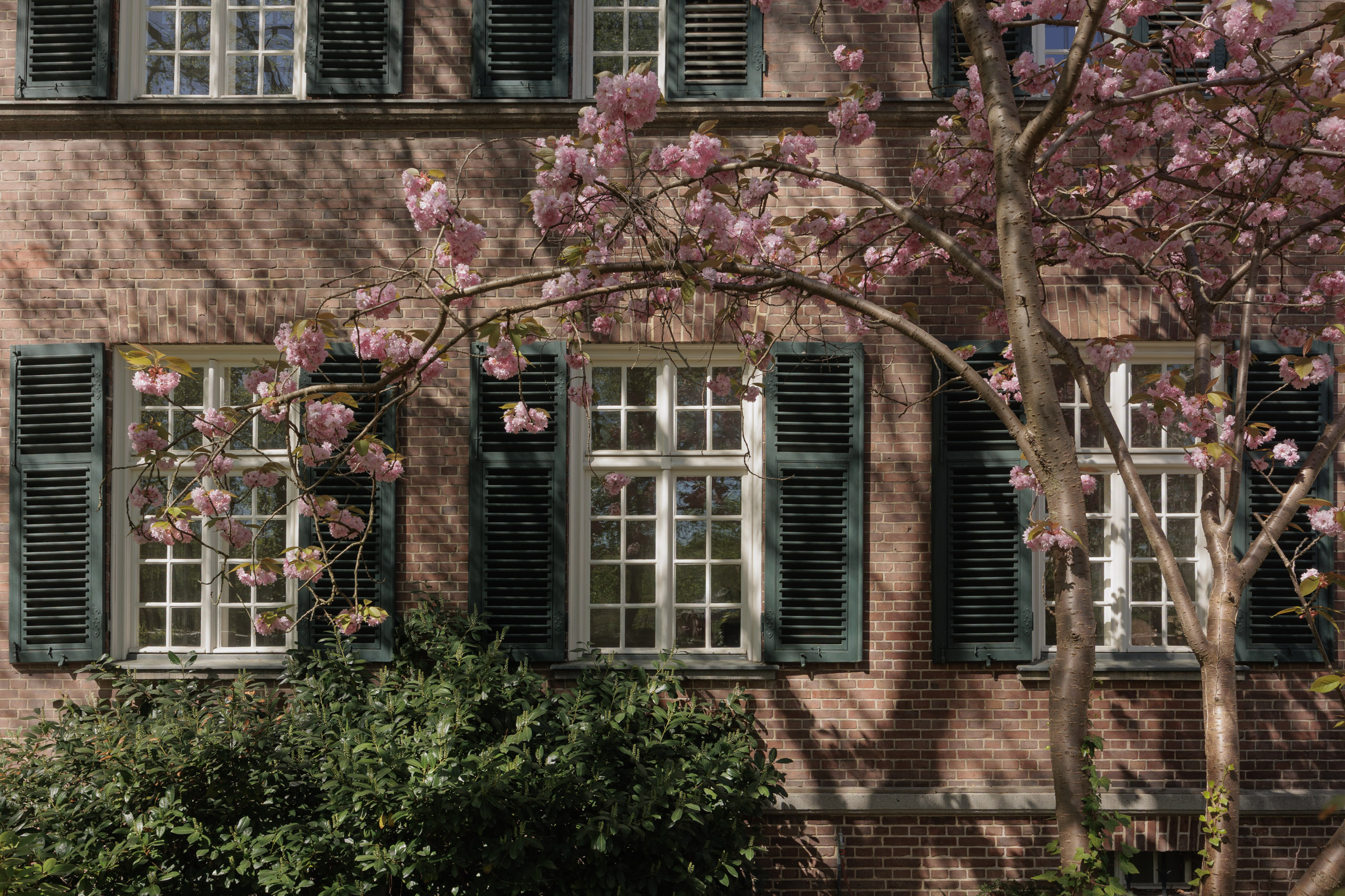  Villa Edelstein - 物件實景