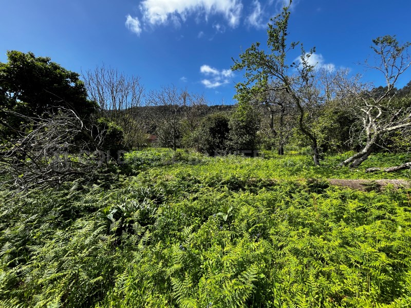 Pontevedra, Moa?a, Moa?a (San Marti?o P. E Virxe d, Moaña, Galicia, ES, 7 Bedrooms Bedrooms, ,2 BathroomsBathrooms,Residential,For Sale,Pontevedra, Moa?a, Moa?a (San Marti?o P. E Virxe d,1623275