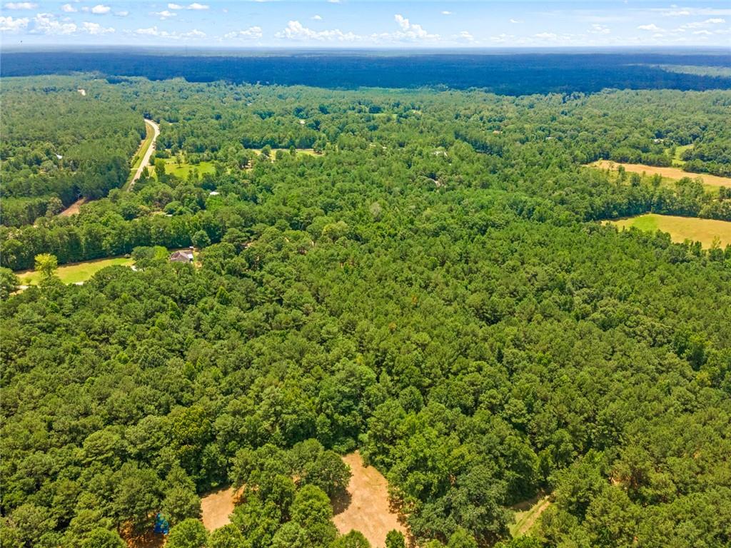 Bush, Louisiana, 70431, United States, ,Land,For Sale,1987560