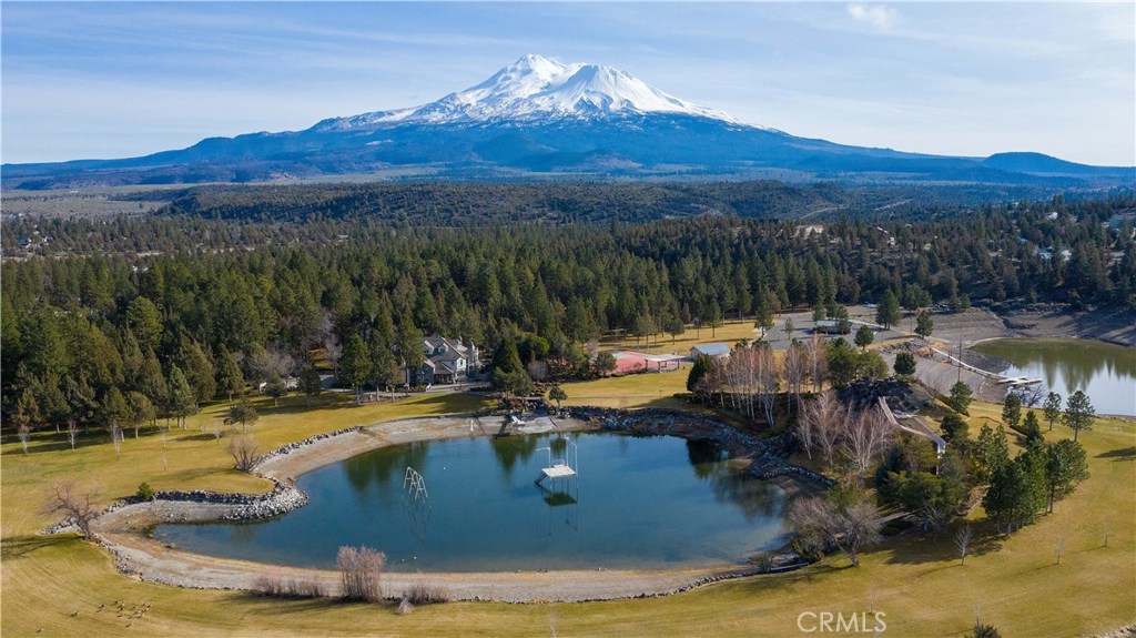 15733 Juniper Peak Road, Weed, California, 96094, United States, 5 Bedrooms Bedrooms, ,7 BathroomsBathrooms,Residential,For Sale,15733 Juniper Peak Road,1644367