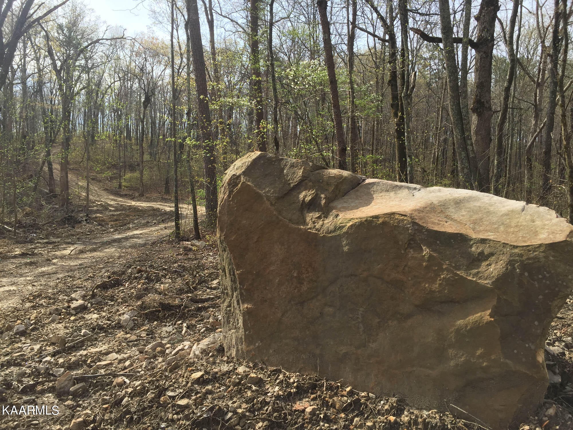 Pikeville, Tennessee, 37367, United States, ,Residential,For Sale,1943070