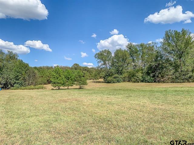 Mount Vernon, Texas, 75457, United States, ,Residential,For Sale,1998270