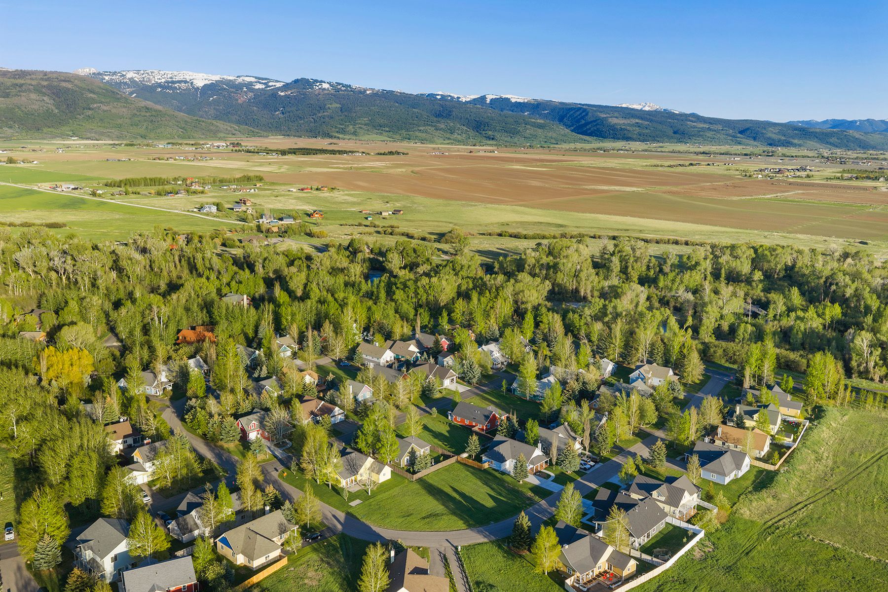  Build Opportunity in Creekside Meadows  William Sublette Model - 物件實景