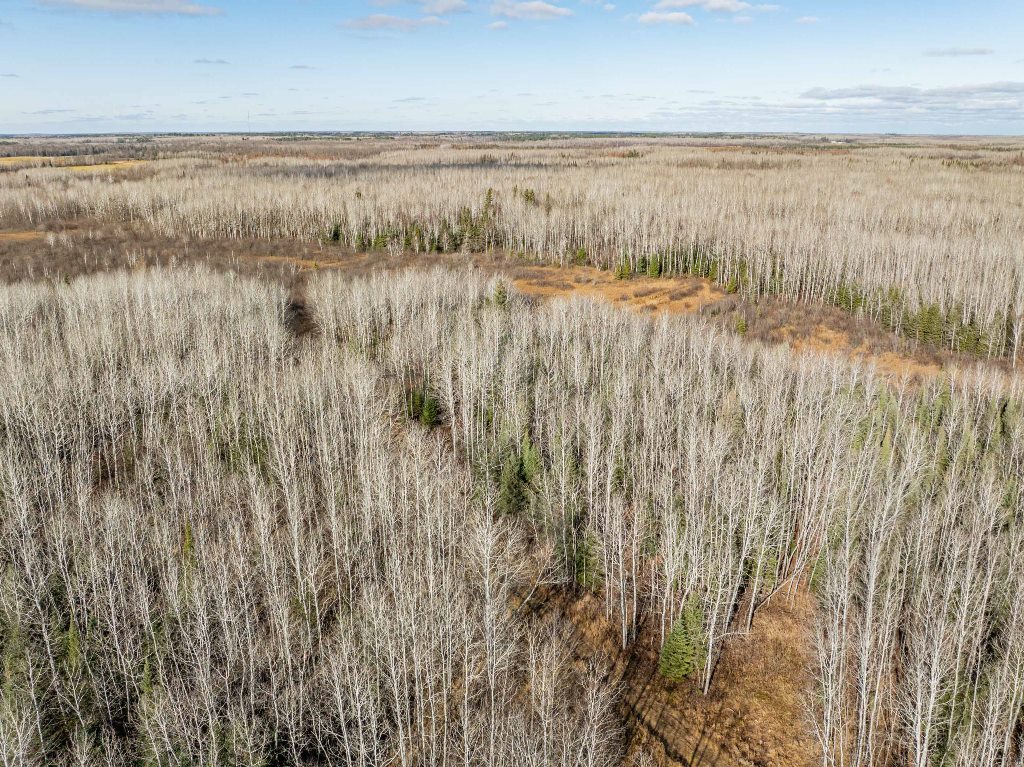 Grand Rapids, Minnesota, 55744, United States, ,Land,For Sale,1983791