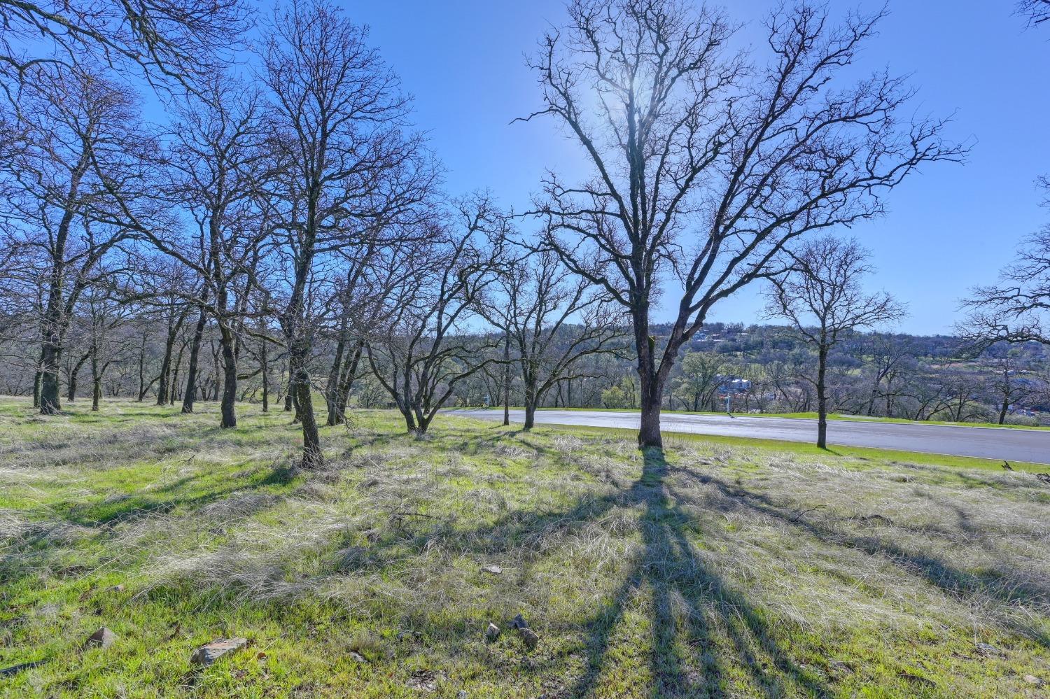 El Dorado Hills, California, 95762, United States, ,Land,For Sale,1709053