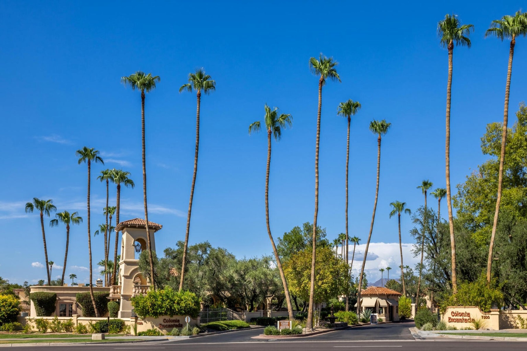  7500 E McCormick Parkway¦Scottsdale, AZ - 物件實景