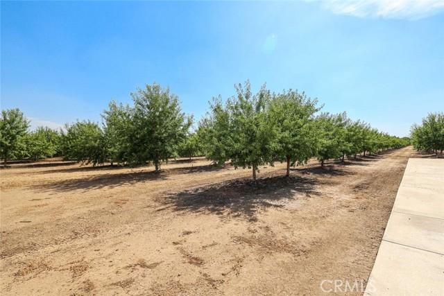 Le Grand, California, 95333, United States, ,Land,For Sale,1981575