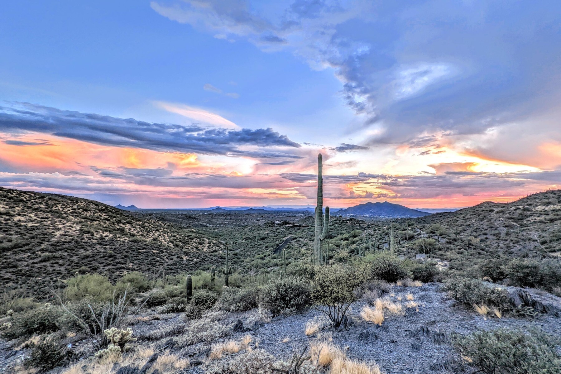  9146 E Limousin Drive¦Scottsdale, AZ - 物件實景