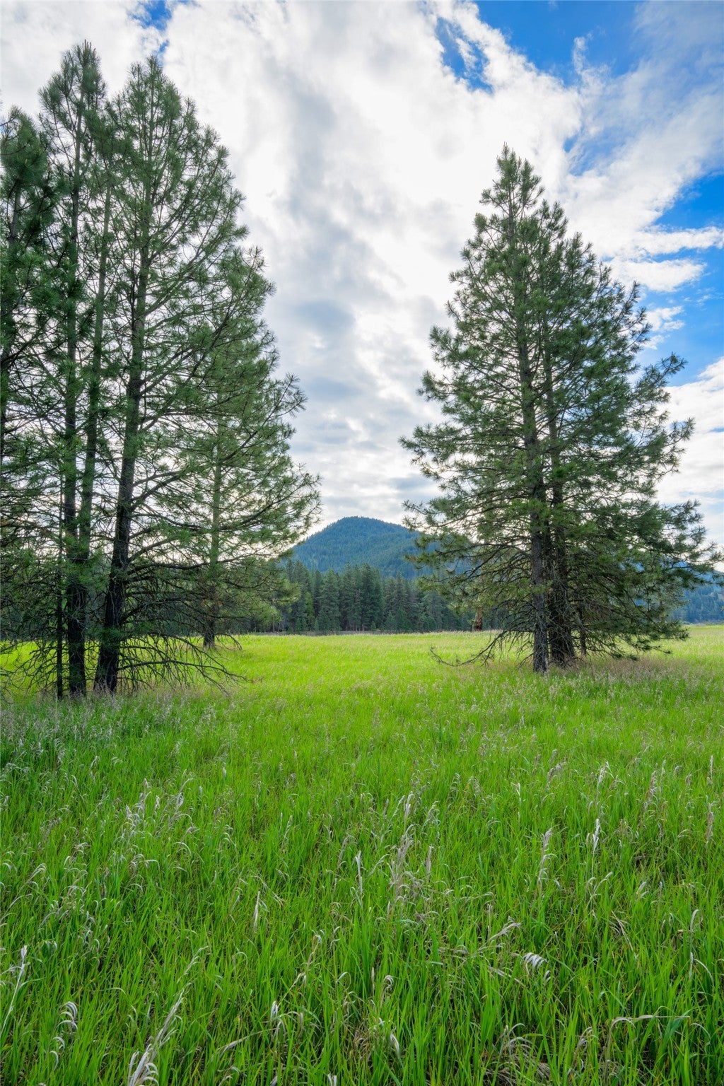 St Regis, Montana, 59866, United States, ,Land,For Sale,1848990