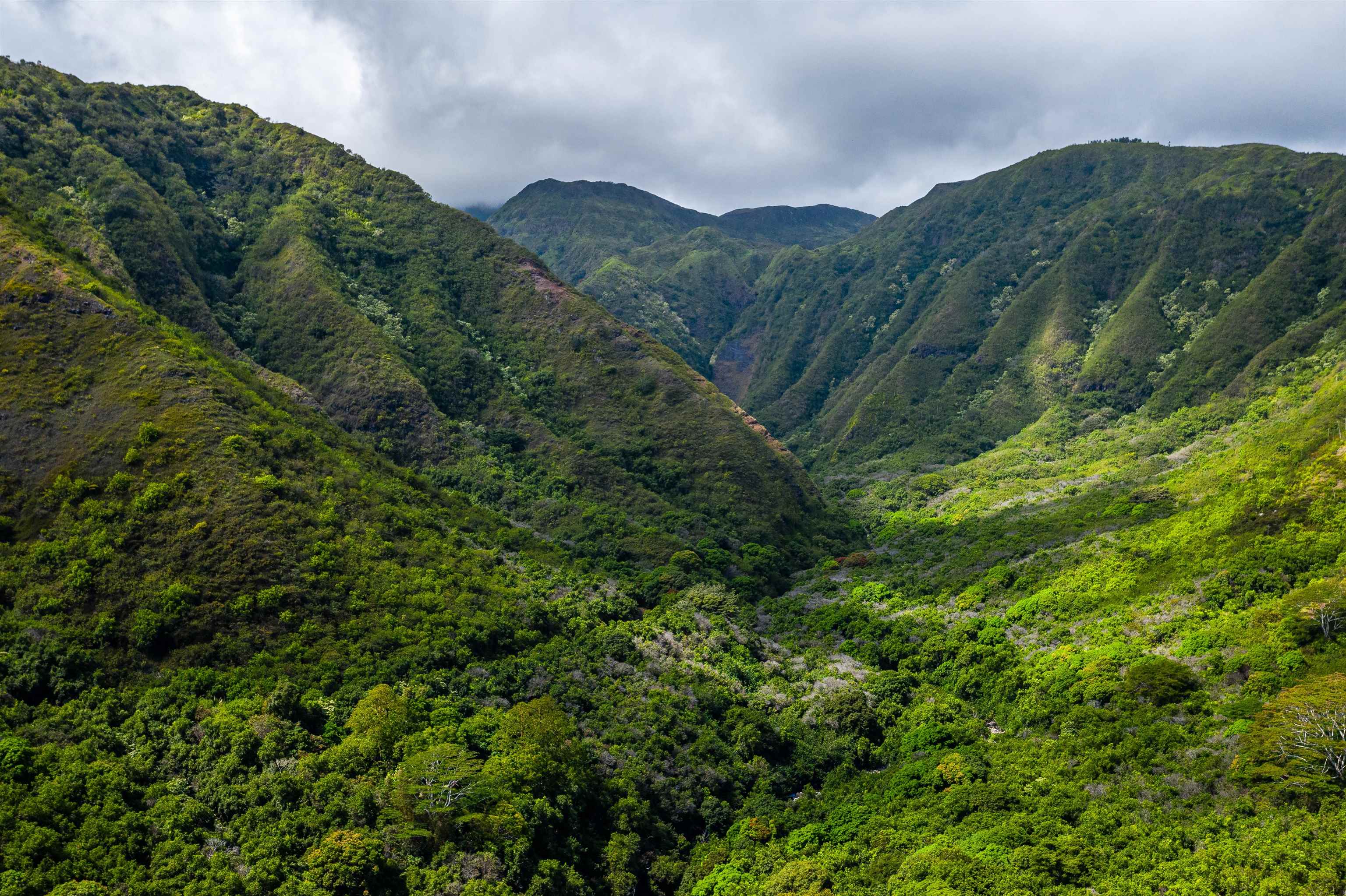 Wailuku, Hawaii, 96793, United States, ,Land,For Sale,1770651