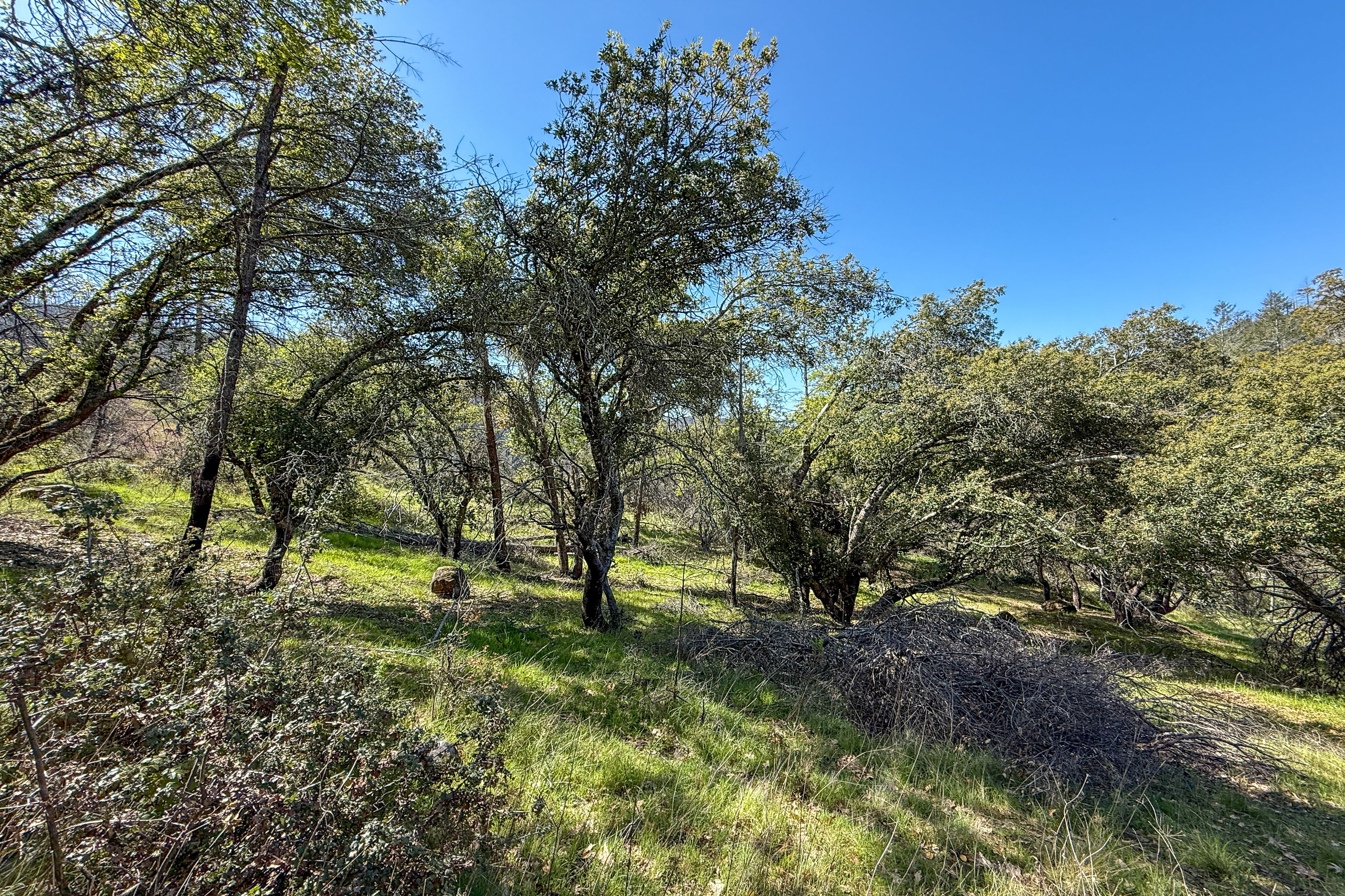  7935 St Helena Road - 物件實景