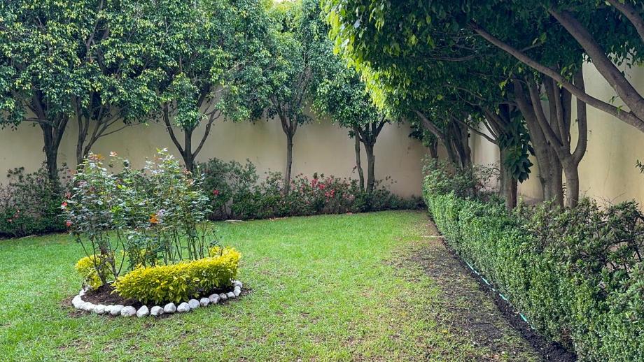 Álvaro Obregón, Ciudad de México, 01900, Mexico, 3 Bedrooms Bedrooms, ,3 BathroomsBathrooms,Residential,For Sale,1720776