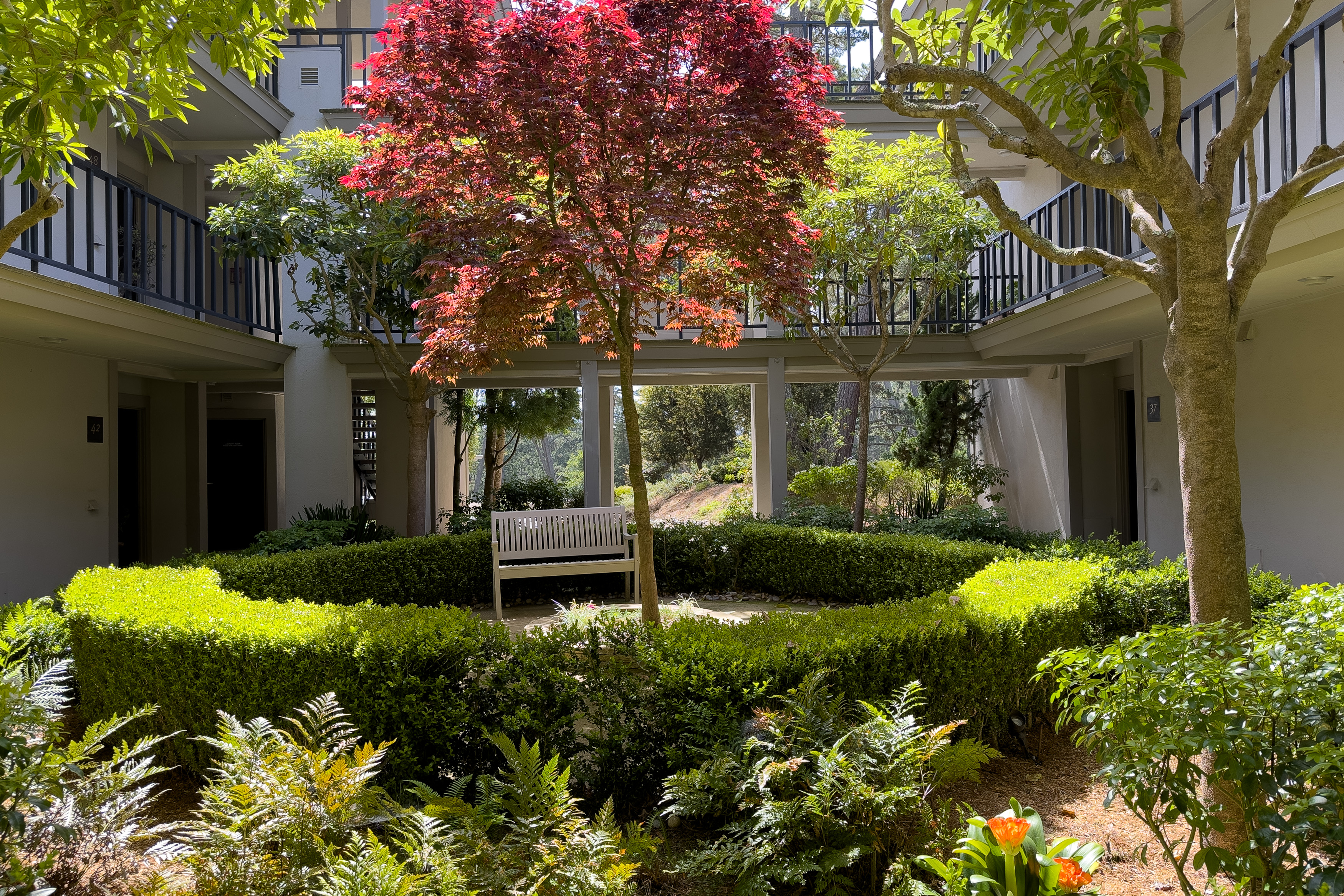  37 Ocean Pines Lane, Pebble Beach - 物件實景