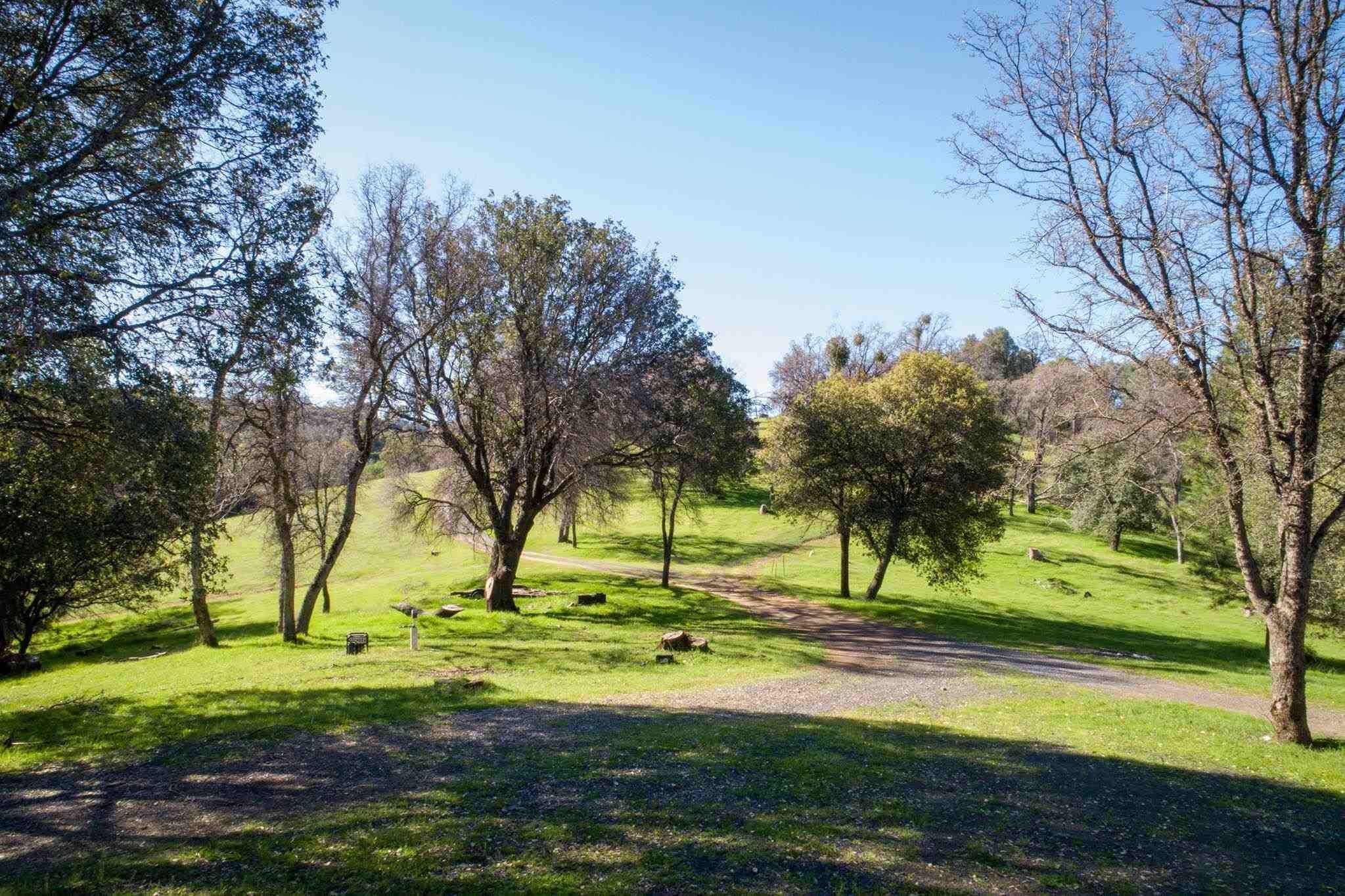 16551 Wards Ferry Rd, Big Oak Flat, California, 95305, United States, ,Land,For Sale,16551 Wards Ferry Rd,1554958