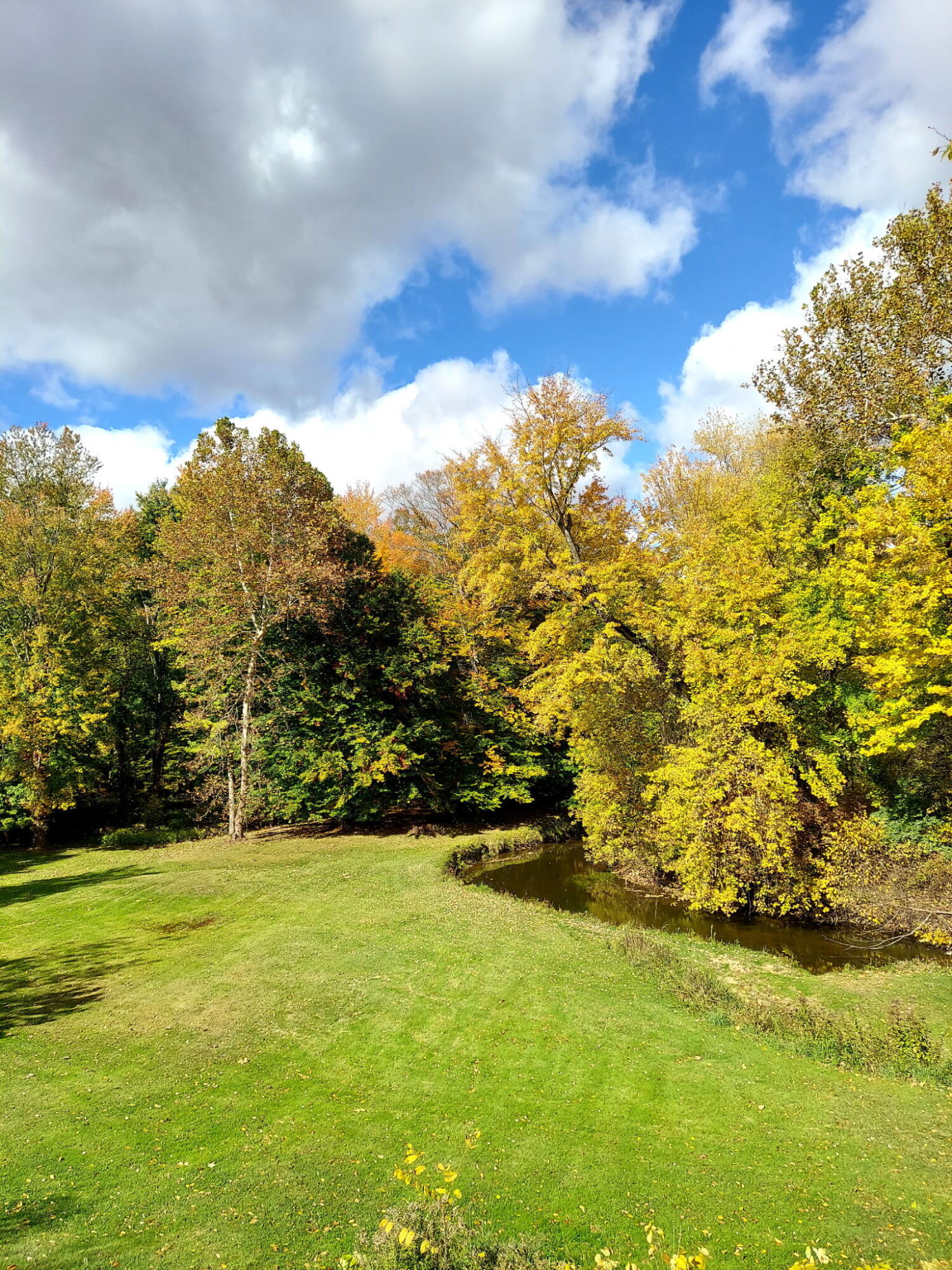 Bangor, Michigan, 49013, United States, 3 Bedrooms Bedrooms, ,2 BathroomsBathrooms,Residential,For Sale,1930428