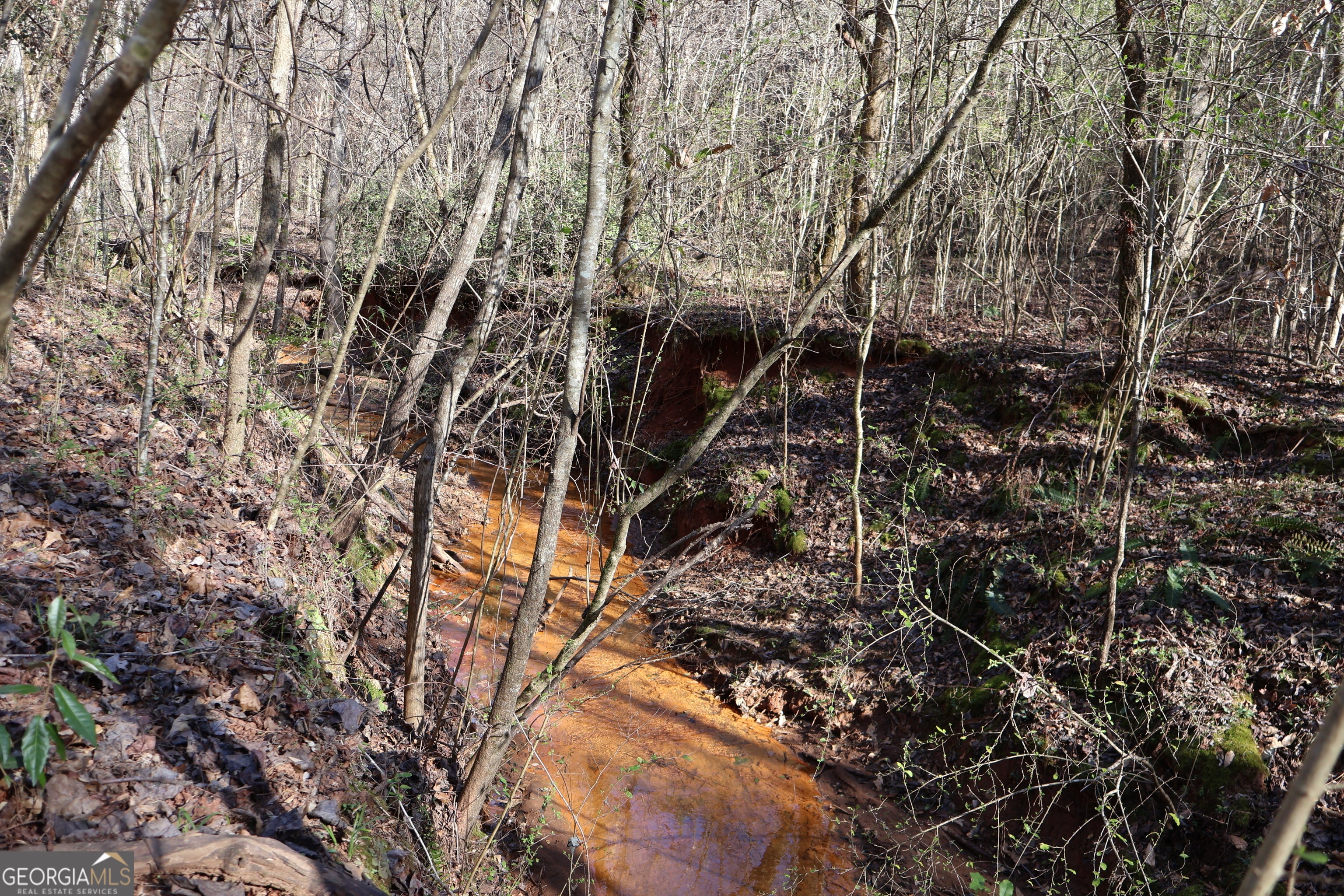 Forsyth, Georgia, 31029, United States, ,Land,For Sale,1858913