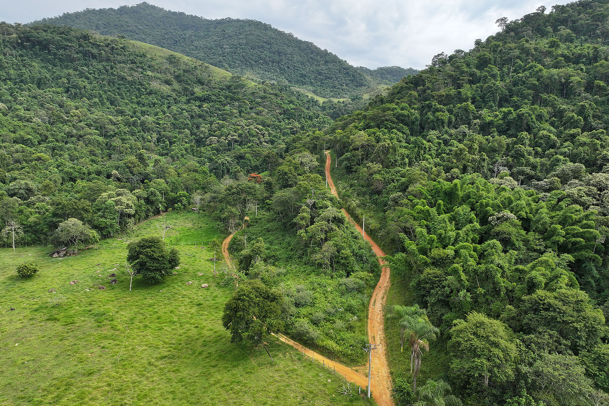  Historic estate with native forest, waterfalls, and ecotourism potential - 物件實景