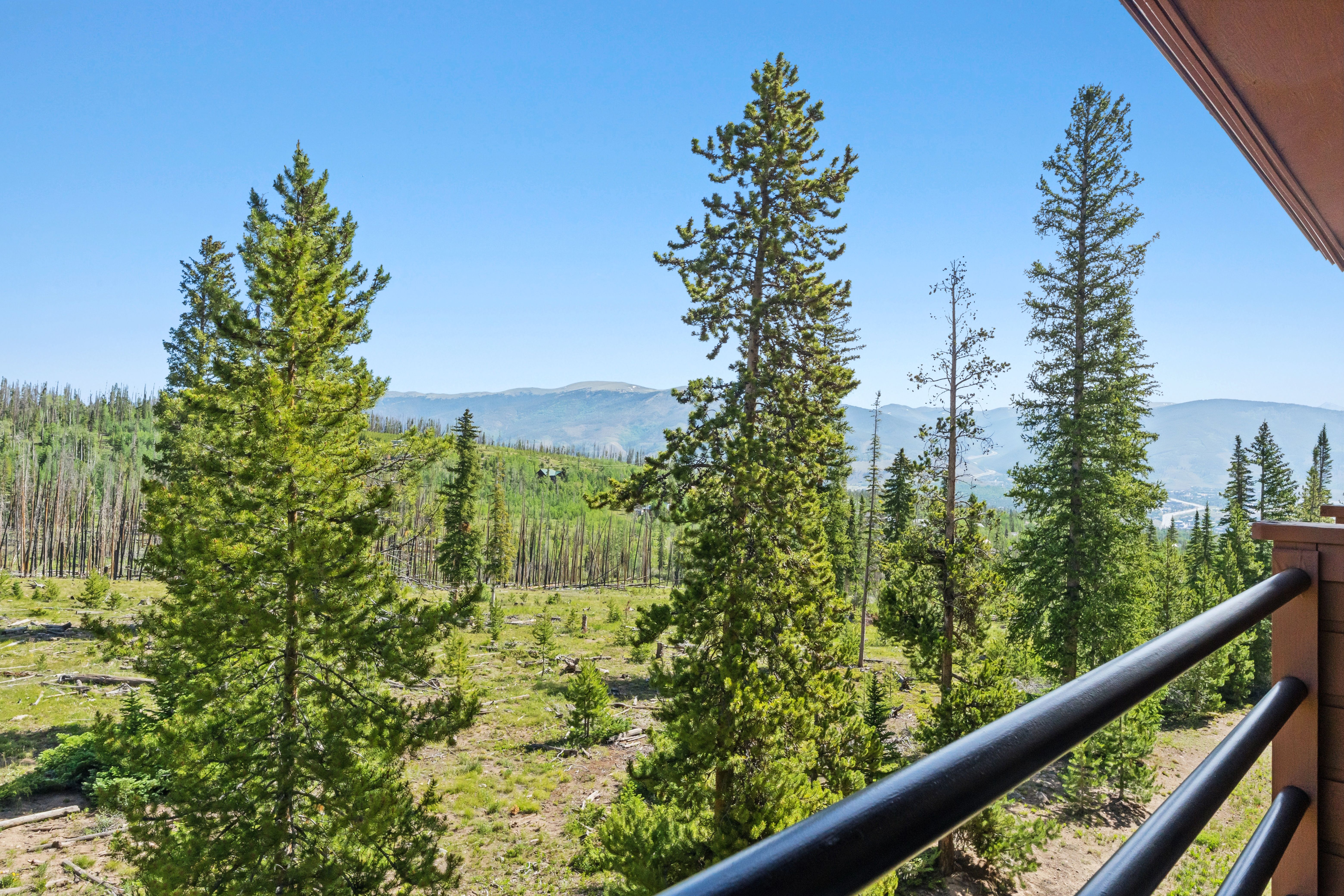  91200 Ryan Gulch Road, Silverthorne, CO, 80498 - 物件實景