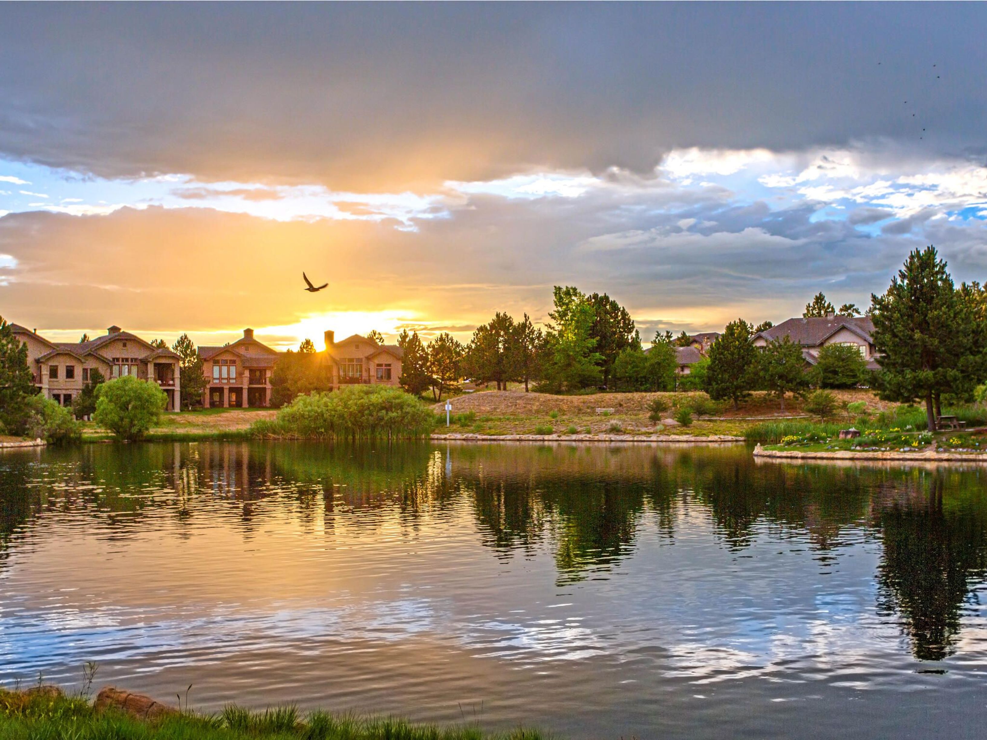  Rare In The Gated, Coveted Village At Castle Pines Community - 物件實景