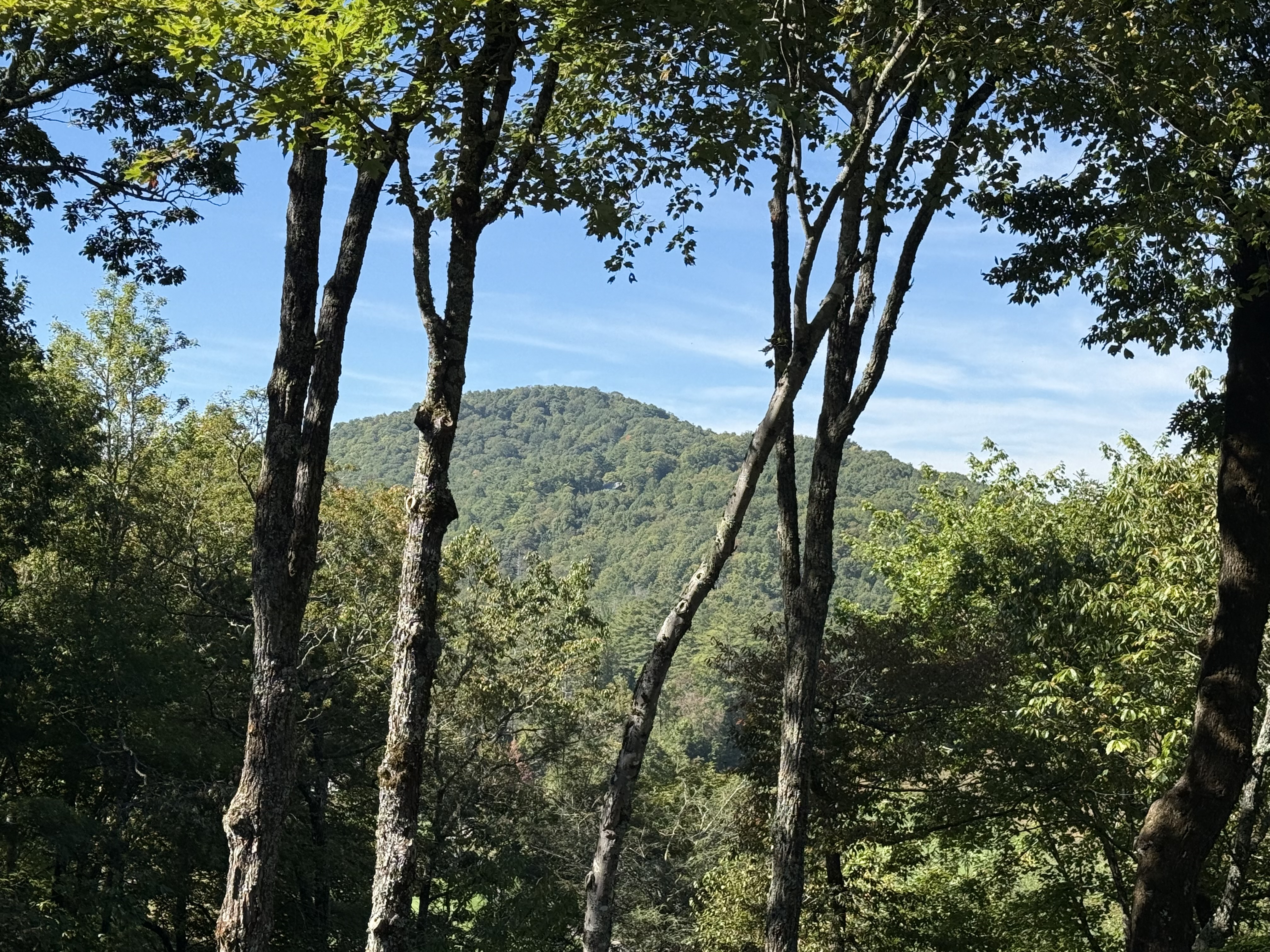  125 Wild Azalea Trail, Wade Hampton Golf Club - 物件實景