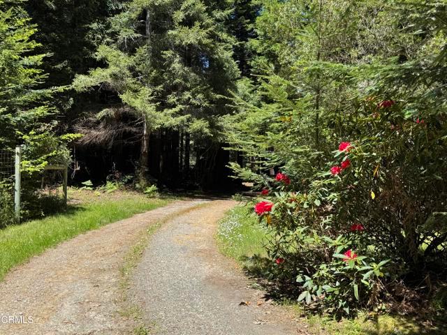 Albion, California, 95410, United States, 3 Bedrooms Bedrooms, ,2 BathroomsBathrooms,Residential,For Sale,1975136